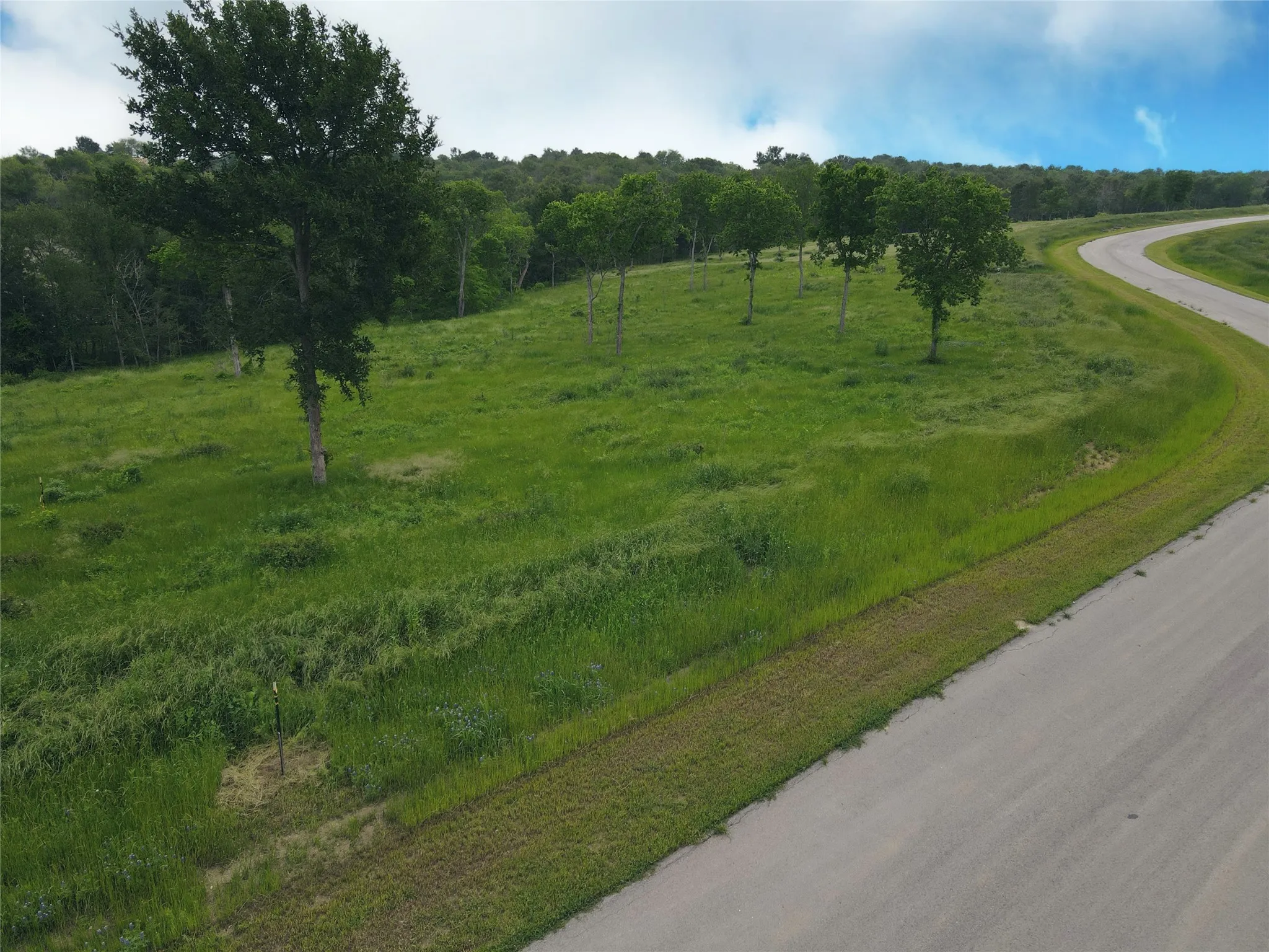 Unimproved Land For Sale in Navarro County , Lot 81 & SLP#17 Shoreside Drive, Corsicana, Texas 75109, 0, 0, Garage spaces, 0 Sqft, built in 0, Price $109,500, mls#21199614, Real Estate Agent in Corsicana, Homes For Sale in Navarro county, Homes For Sale in Corsicana, Realtor in Corsicana Texas, Real Estate Brokerage Independent Realty Texas, Luminita Cordes Realtor