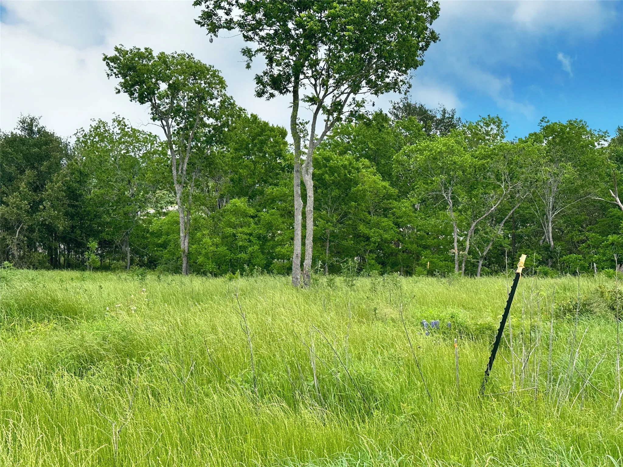 Unimproved Land For Sale in Navarro County , Lot 81 & SLP#17 Shoreside Drive, Corsicana, Texas 75109, 0, 0, Garage spaces, 0 Sqft, built in 0, Price $109,500, mls#21199614, Real Estate Agent in Corsicana, Homes For Sale in Navarro county, Homes For Sale in Corsicana, Realtor in Corsicana Texas, Real Estate Brokerage Independent Realty Texas, Luminita Cordes Realtor