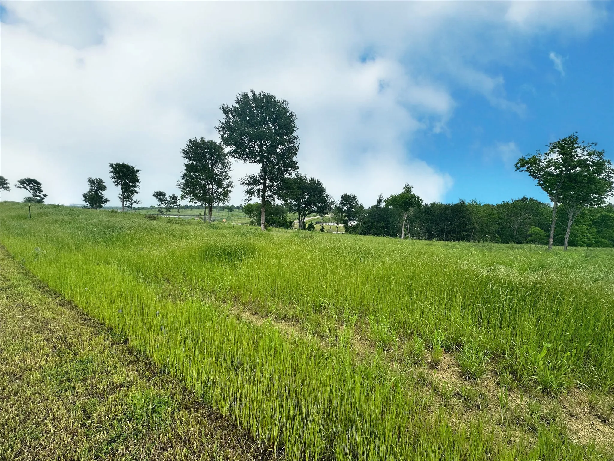 Unimproved Land For Sale in Navarro County , Lot 81 & SLP#17 Shoreside Drive, Corsicana, Texas 75109, 0, 0, Garage spaces, 0 Sqft, built in 0, Price $109,500, mls#21199614, Real Estate Agent in Corsicana, Homes For Sale in Navarro county, Homes For Sale in Corsicana, Realtor in Corsicana Texas, Real Estate Brokerage Independent Realty Texas, Luminita Cordes Realtor