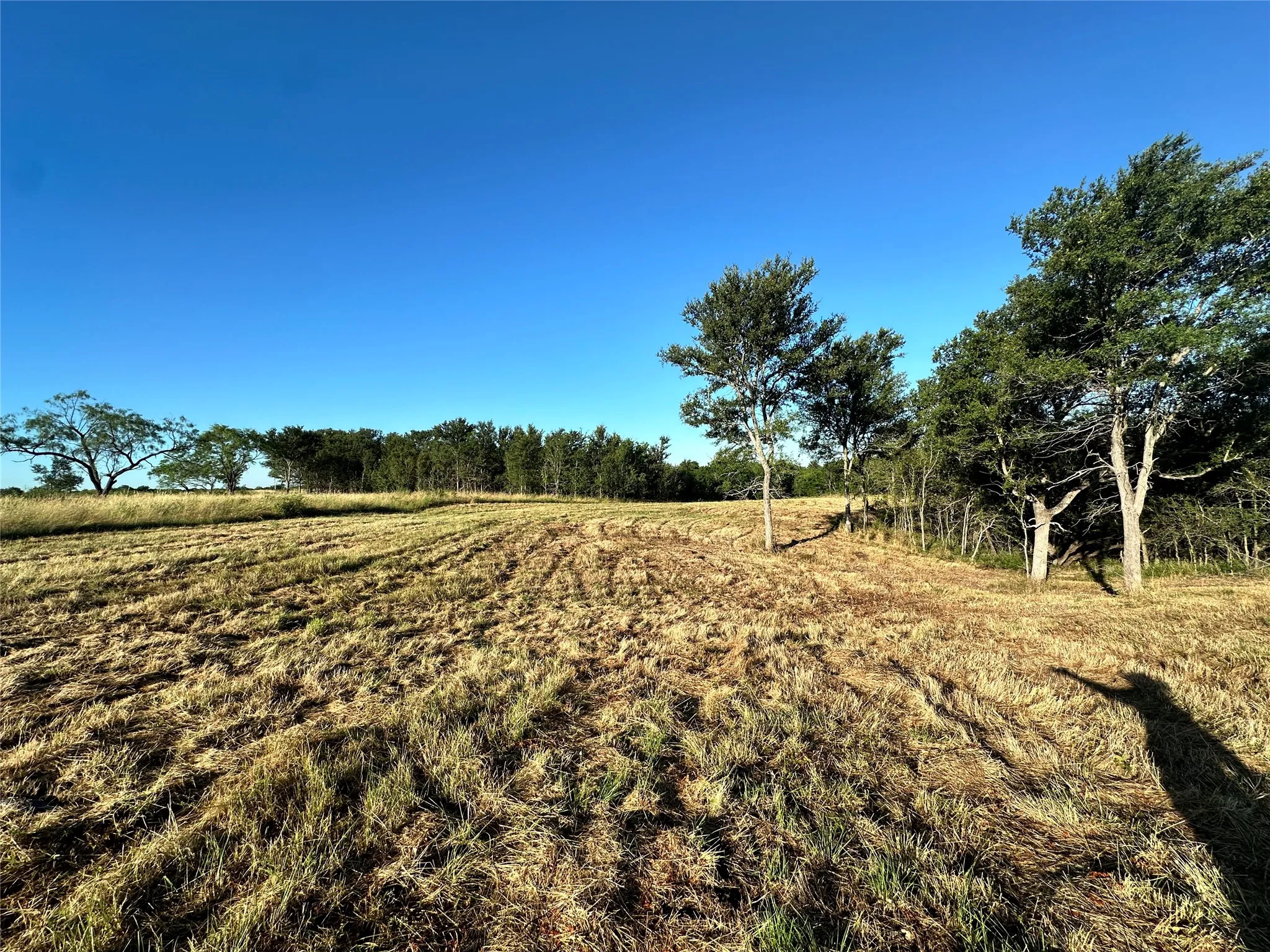 Unimproved Land For Sale in Navarro County , Lot 81 & SLP#17 Shoreside Drive, Corsicana, Texas 75109, 0, 0, Garage spaces, 0 Sqft, built in 0, Price $109,500, mls#21199614, Real Estate Agent in Corsicana, Homes For Sale in Navarro county, Homes For Sale in Corsicana, Realtor in Corsicana Texas, Real Estate Brokerage Independent Realty Texas, Luminita Cordes Realtor