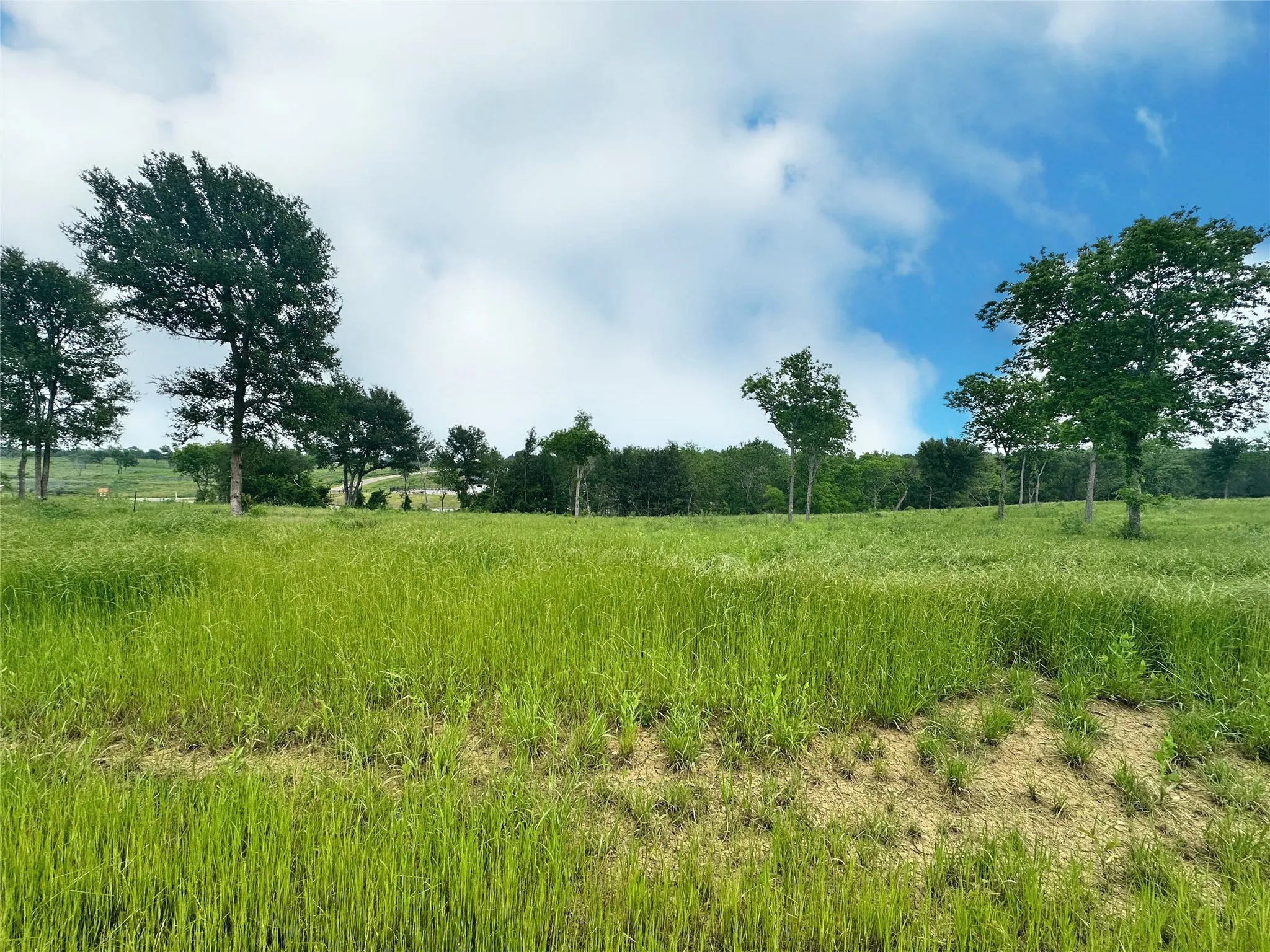 Unimproved Land For Sale in Navarro County , Lot 81 & SLP#17 Shoreside Drive, Corsicana, Texas 75109, 0, 0, Garage spaces, 0 Sqft, built in 0, Price $109,500, mls#21199614, Real Estate Agent in Corsicana, Homes For Sale in Navarro county, Homes For Sale in Corsicana, Realtor in Corsicana Texas, Real Estate Brokerage Independent Realty Texas, Luminita Cordes Realtor