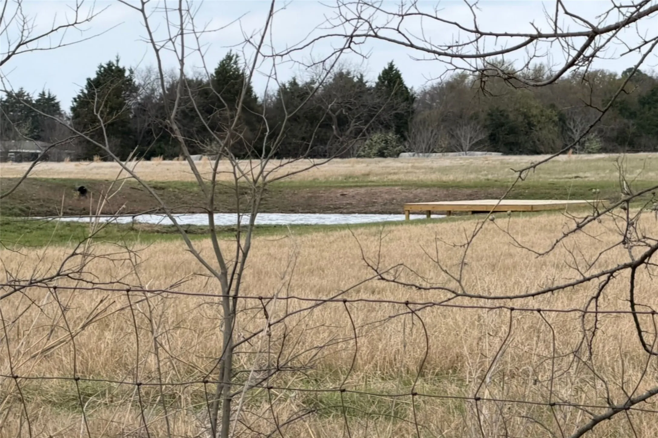 Improved Land For Sale in Kaufman County , 5793 County Road 4062, Scurry, Texas 75158, 0, 0, Garage spaces, 0 Sqft, built in 0, mls#21198916, Real Estate Agent in Scurry, Homes For Sale in Kaufman county, Homes For Sale in Scurry, Realtor in Scurry Texas, Real Estate Brokerage Independent Realty Texas, Luminita Cordes Realtor
