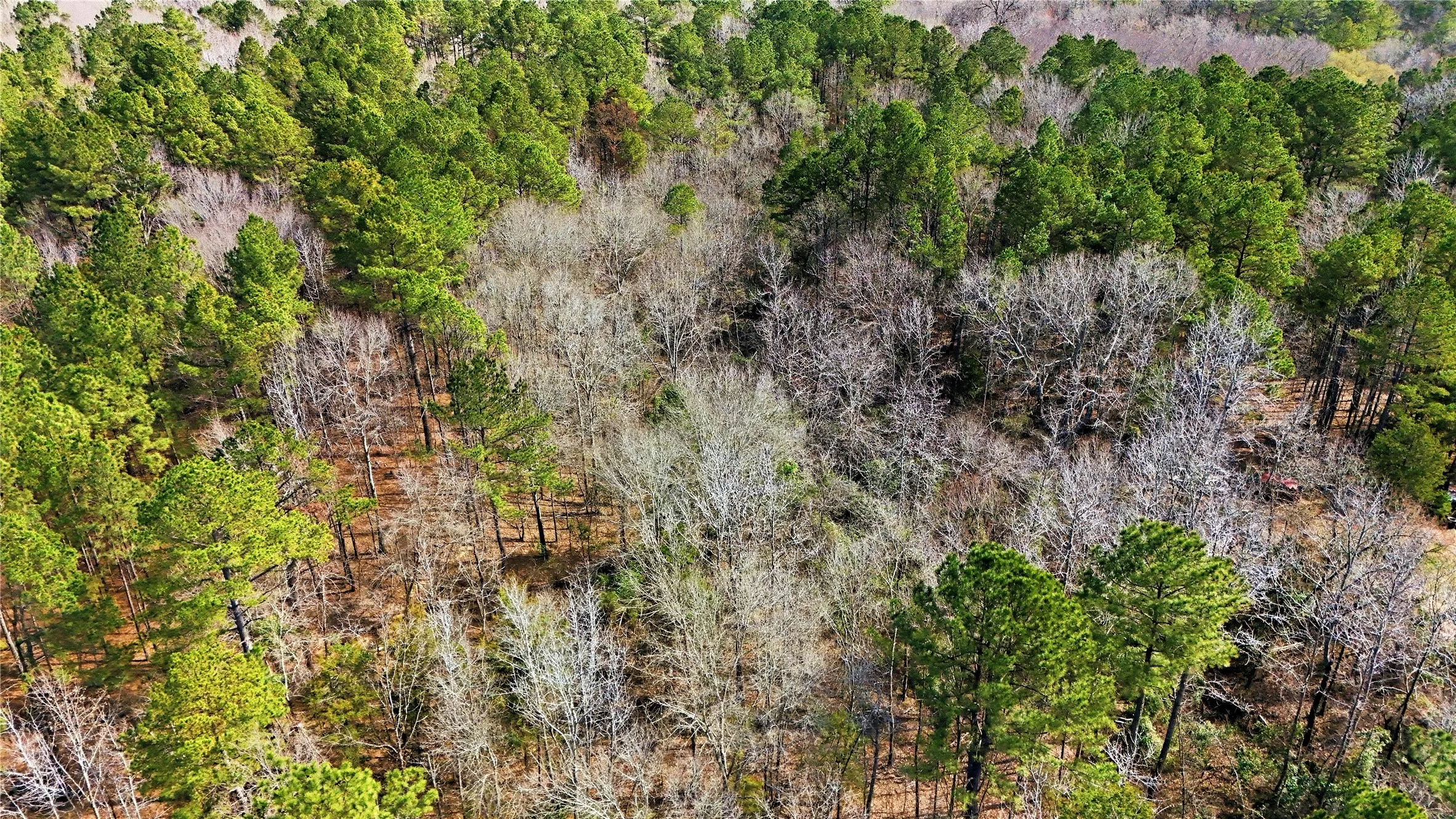 Unimproved Land For Sale in Smith County , TBD County Rd 4122 Road, Lindale, Texas 75771, 0, 0, Garage spaces, 0 Sqft, built in 0, mls#21200375, Real Estate Agent in Lindale, Homes For Sale in Smith county, Homes For Sale in Lindale, Realtor in Lindale Texas, Real Estate Brokerage Independent Realty Texas, Luminita Cordes Realtor
