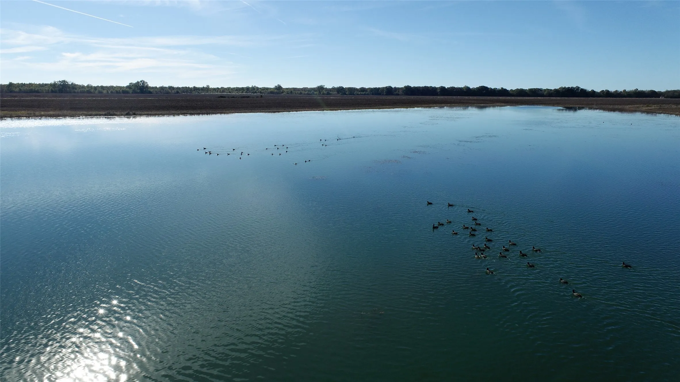 Improved Land For Sale in Red River (TX) County , 00 FM 909, Clarksville, Texas 75426, 0, 0, Garage spaces, 0 Sqft, built in 0, mls#21200606, Real Estate Agent in Clarksville, Homes For Sale in Red River (TX) county, Homes For Sale in Clarksville, Realtor in Clarksville Texas, Real Estate Brokerage Independent Realty Texas, Luminita Cordes Realtor