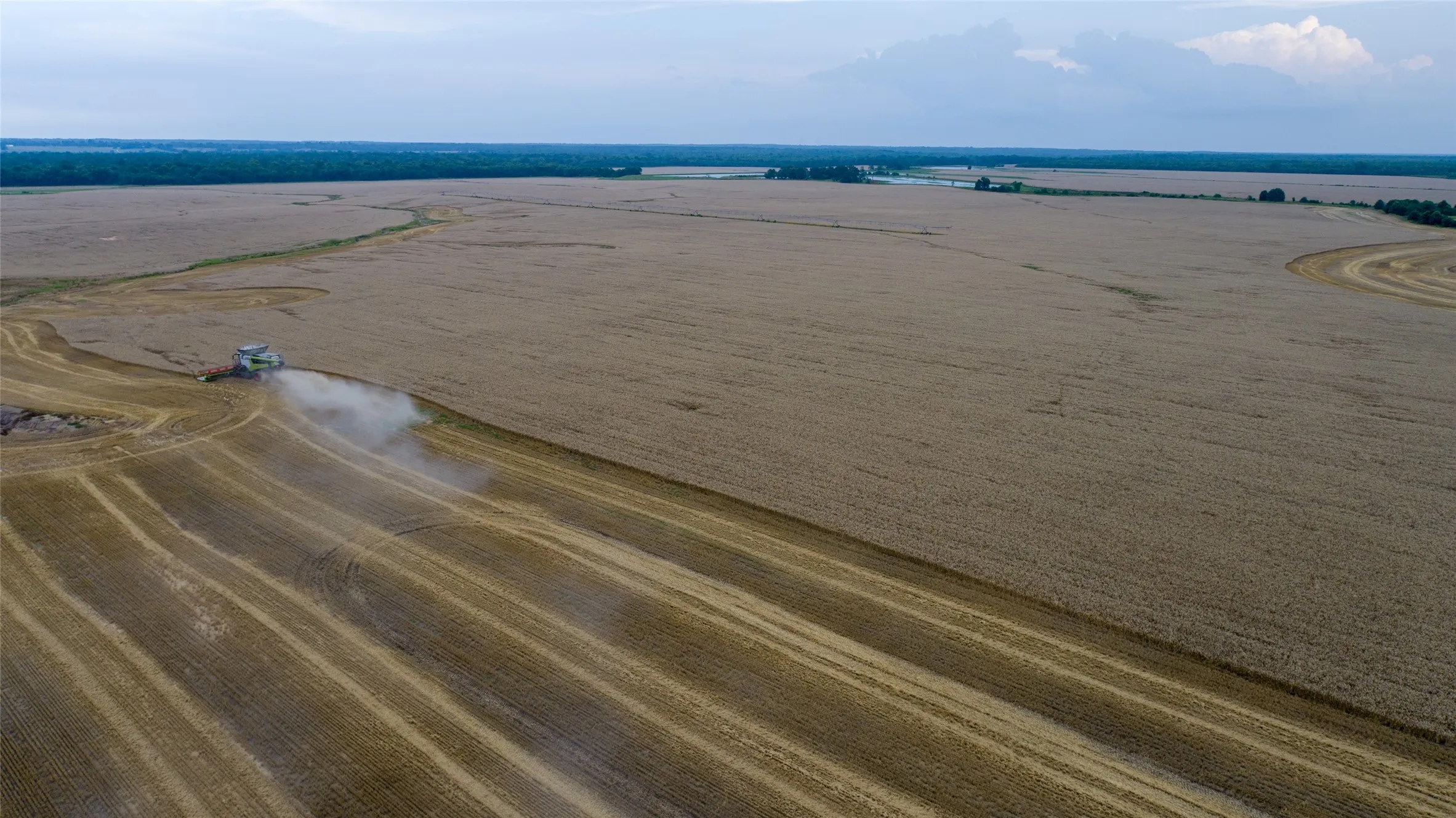 Improved Land For Sale in Red River (TX) County , 00 FM 909, Clarksville, Texas 75426, 0, 0, Garage spaces, 0 Sqft, built in 0, mls#21200606, Real Estate Agent in Clarksville, Homes For Sale in Red River (TX) county, Homes For Sale in Clarksville, Realtor in Clarksville Texas, Real Estate Brokerage Independent Realty Texas, Luminita Cordes Realtor