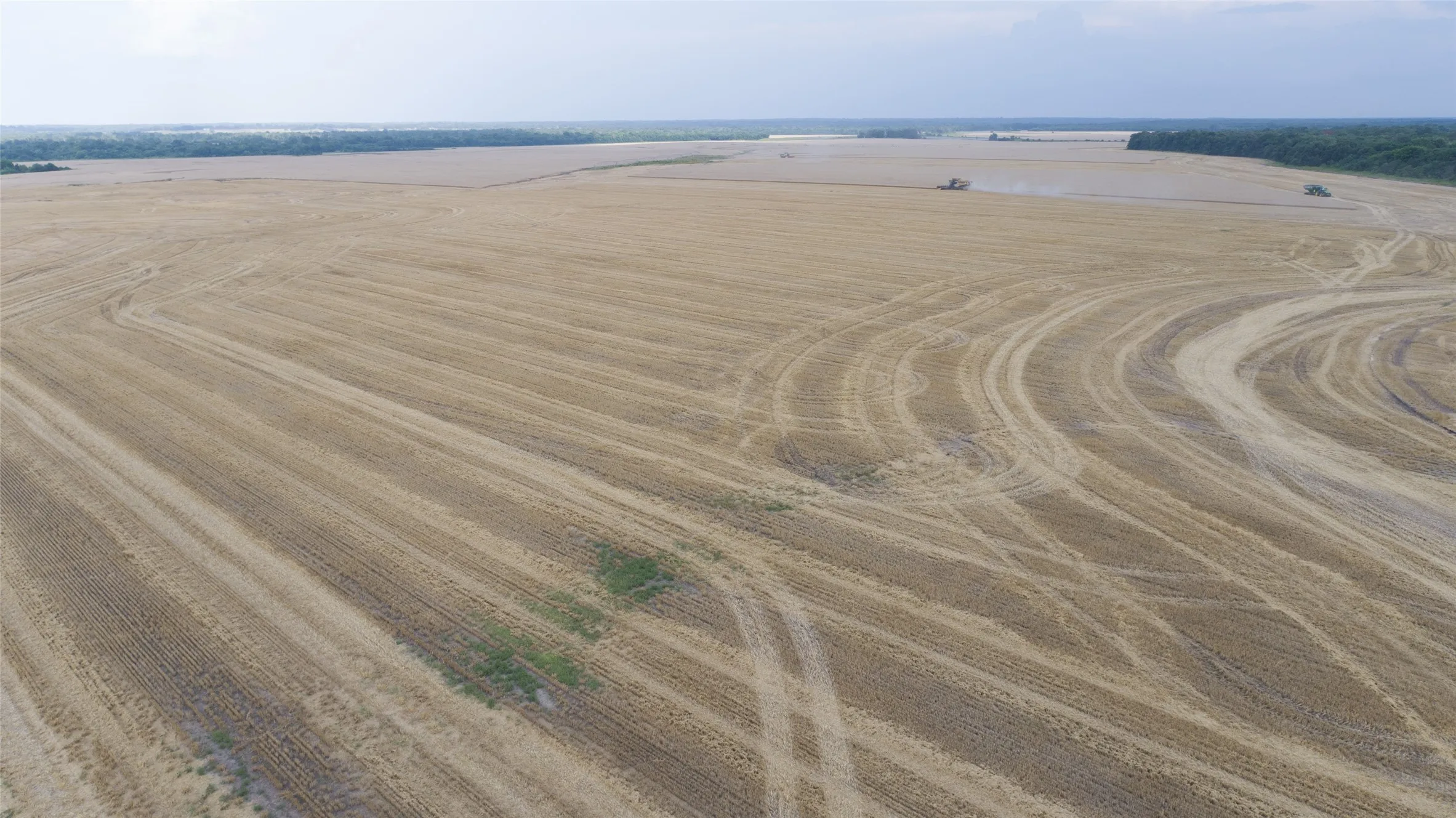 Improved Land For Sale in Red River (TX) County , 00 FM 909, Clarksville, Texas 75426, 0, 0, Garage spaces, 0 Sqft, built in 0, mls#21200606, Real Estate Agent in Clarksville, Homes For Sale in Red River (TX) county, Homes For Sale in Clarksville, Realtor in Clarksville Texas, Real Estate Brokerage Independent Realty Texas, Luminita Cordes Realtor