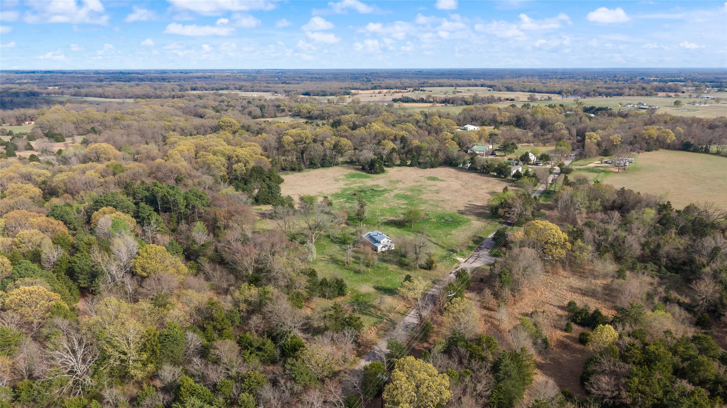 Bird's eye view of a forest