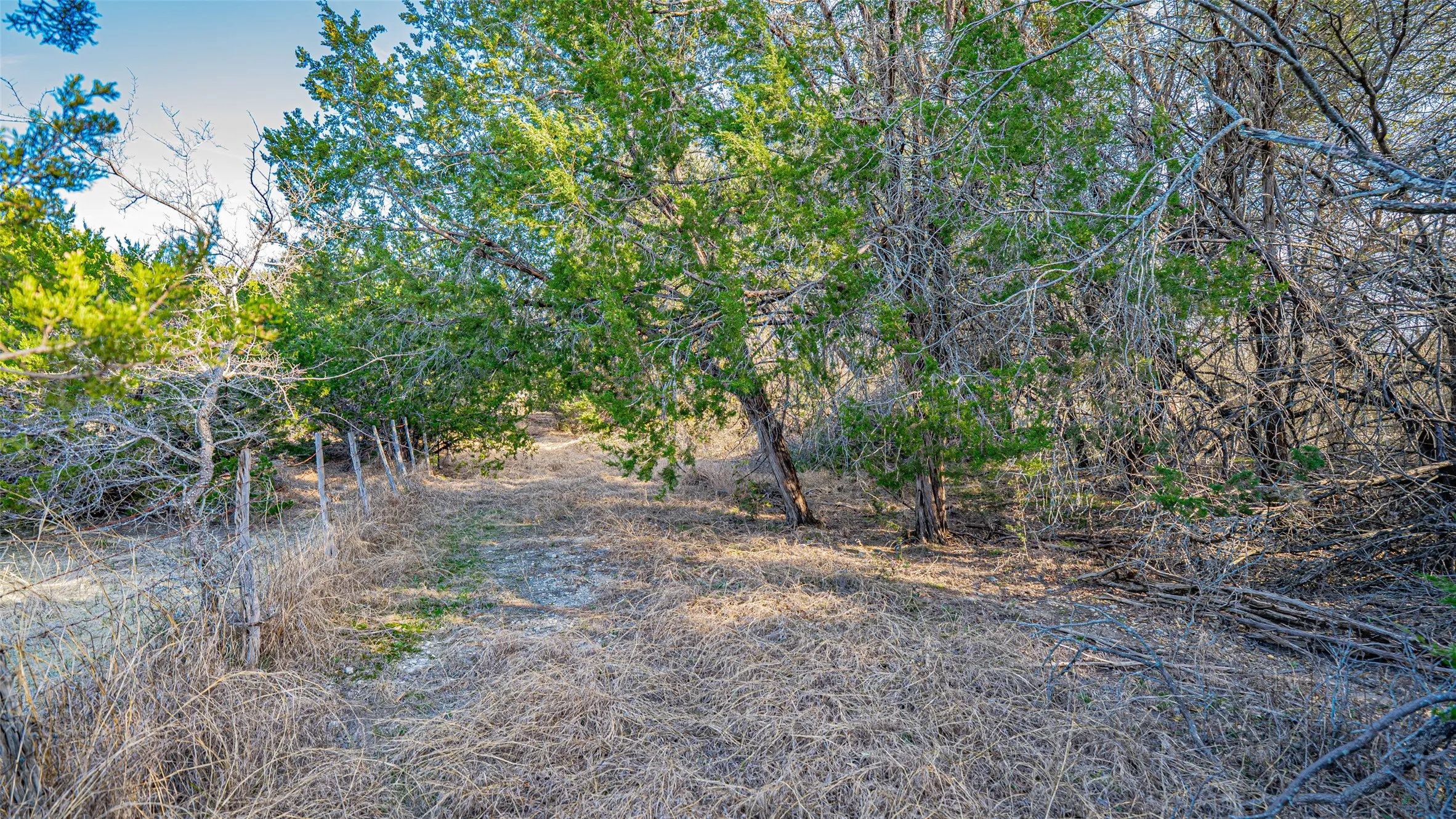 Unimproved Land For Sale in Somervell County , 103 Fm 56 S, Glen Rose, Texas 76043, 0, 0, Garage spaces, 0 Sqft, built in 0, mls#21200517, Real Estate Agent in Glen Rose, Homes For Sale in Somervell county, Homes For Sale in Glen Rose, Realtor in Glen Rose Texas, Real Estate Brokerage Independent Realty Texas, Luminita Cordes Realtor