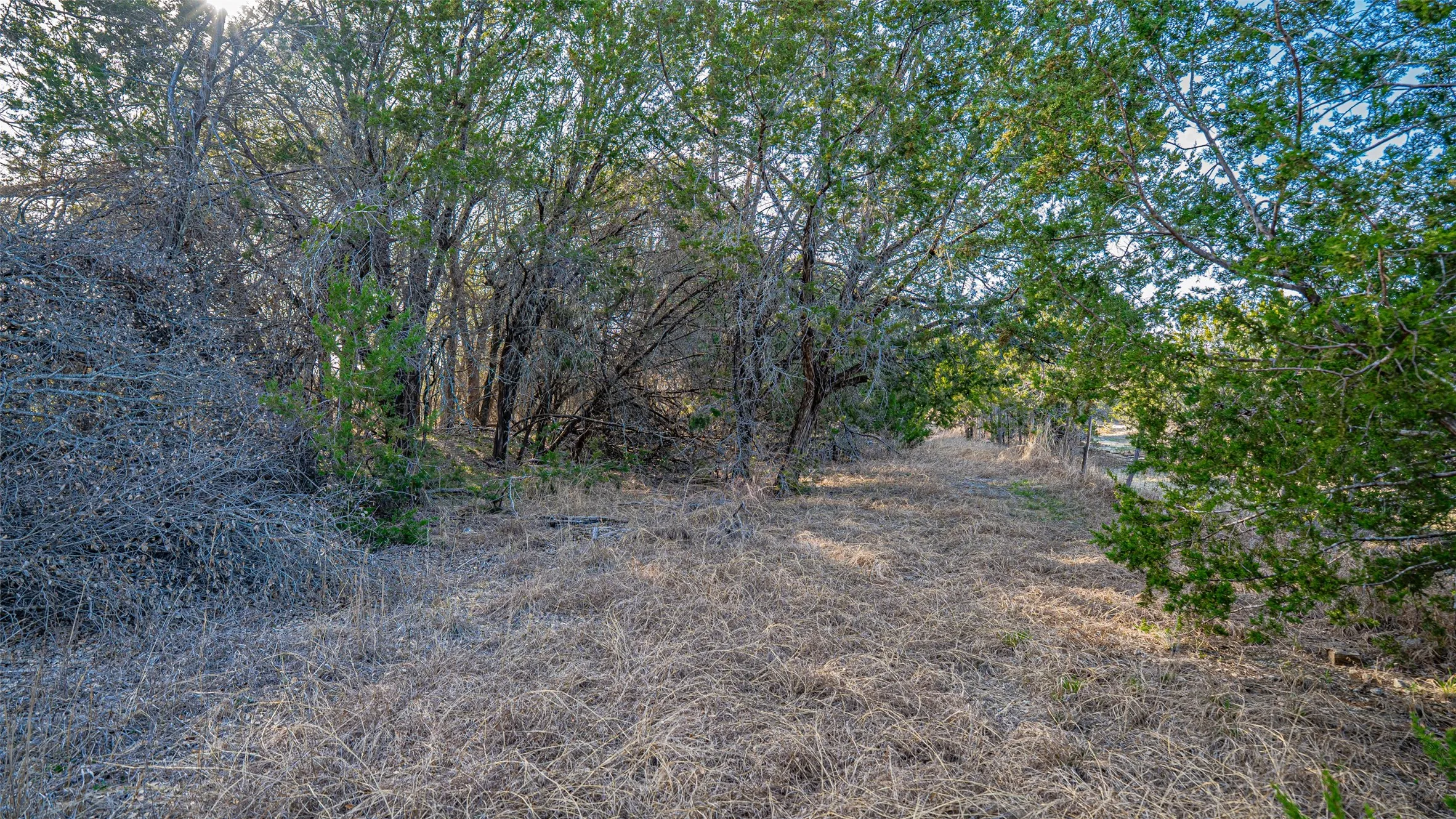 Unimproved Land For Sale in Somervell County , 103 Fm 56 S, Glen Rose, Texas 76043, 0, 0, Garage spaces, 0 Sqft, built in 0, mls#21200517, Real Estate Agent in Glen Rose, Homes For Sale in Somervell county, Homes For Sale in Glen Rose, Realtor in Glen Rose Texas, Real Estate Brokerage Independent Realty Texas, Luminita Cordes Realtor