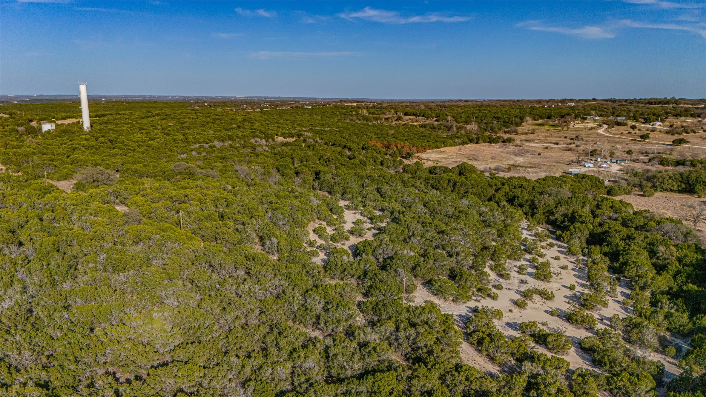 Bird's eye view of a forest