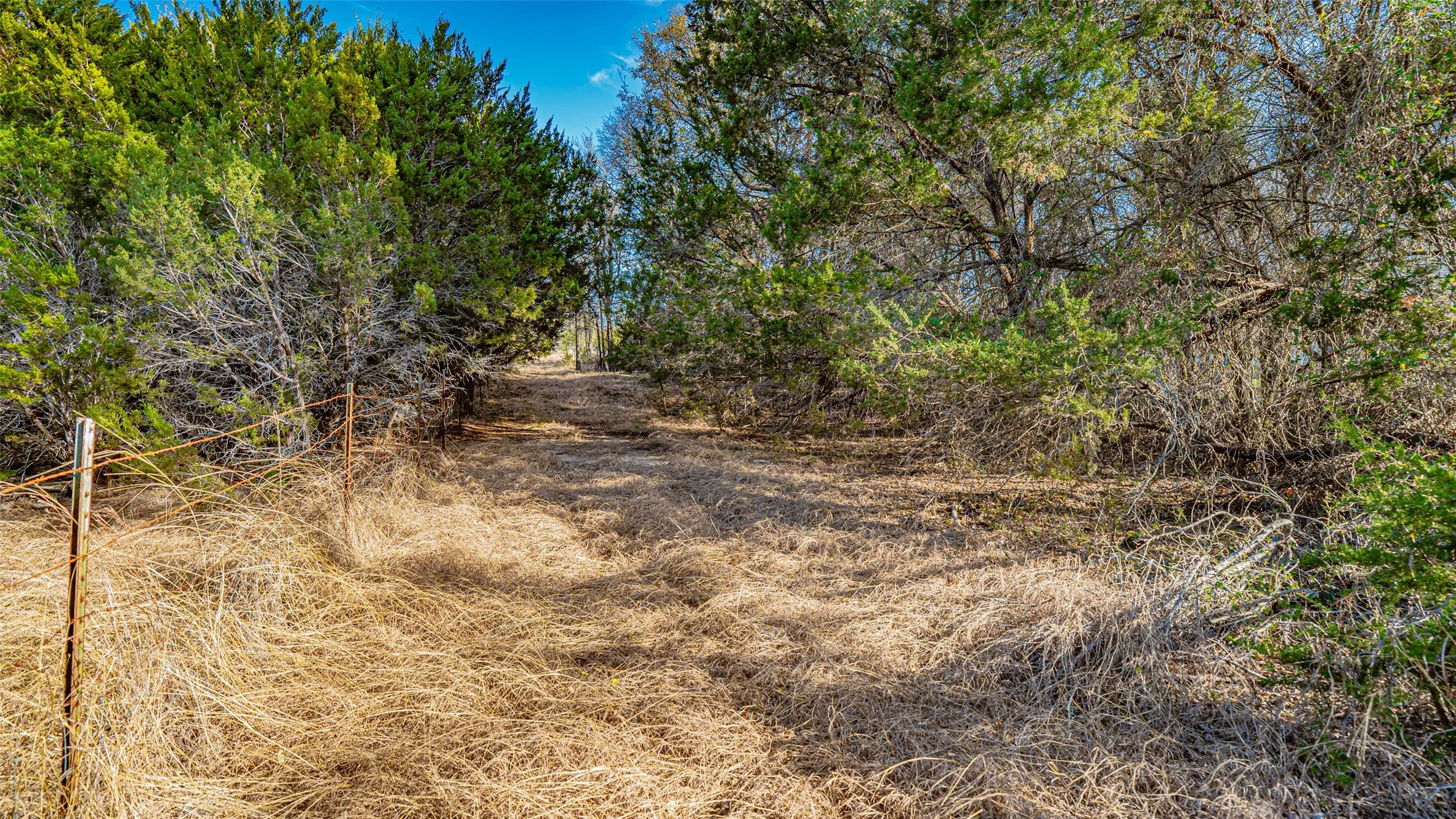 Unimproved Land For Sale in Somervell County , 103 Fm 56 S, Glen Rose, Texas 76043, 0, 0, Garage spaces, 0 Sqft, built in 0, mls#21200517, Real Estate Agent in Glen Rose, Homes For Sale in Somervell county, Homes For Sale in Glen Rose, Realtor in Glen Rose Texas, Real Estate Brokerage Independent Realty Texas, Luminita Cordes Realtor