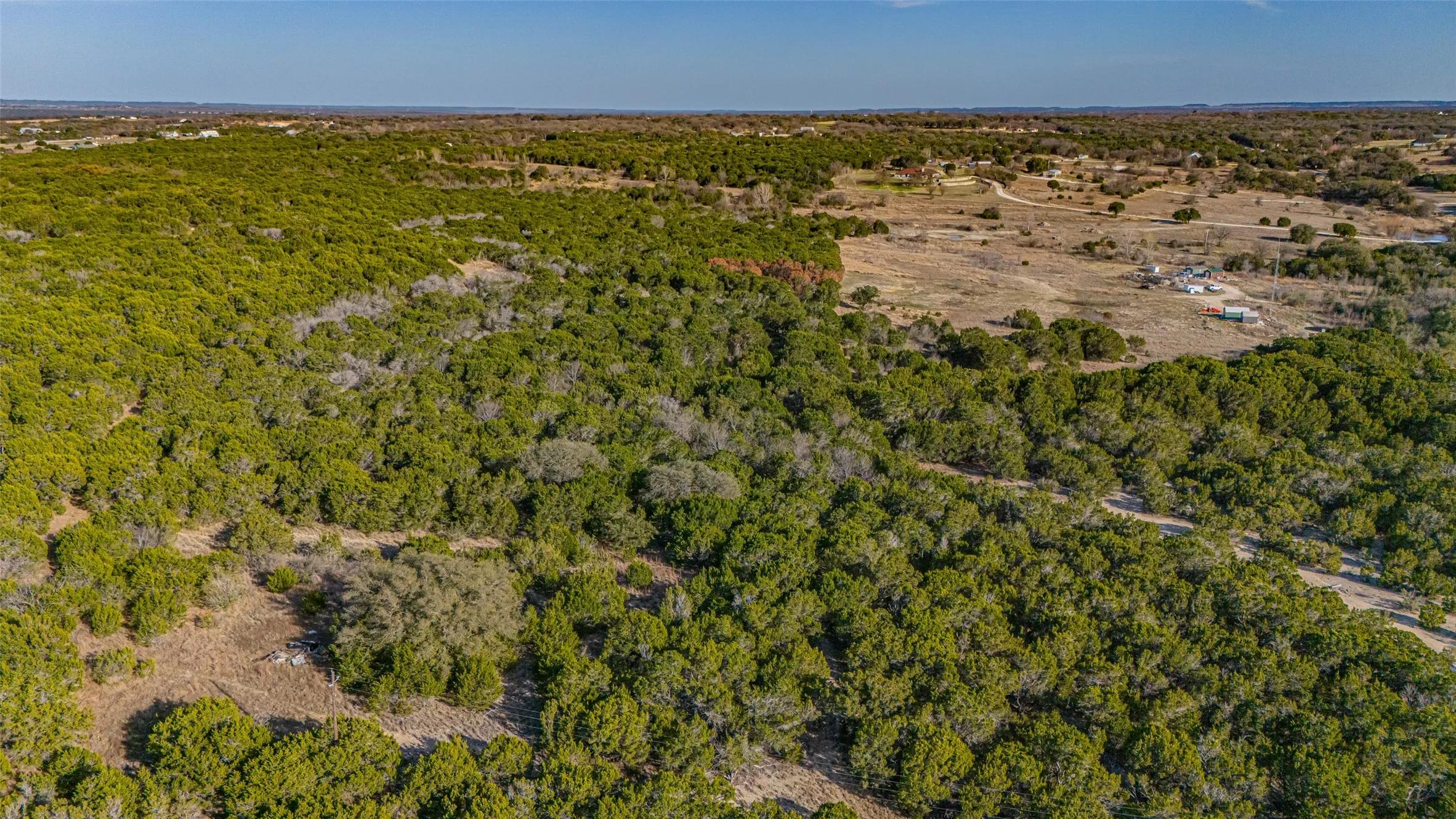 Drone / aerial view of a forest