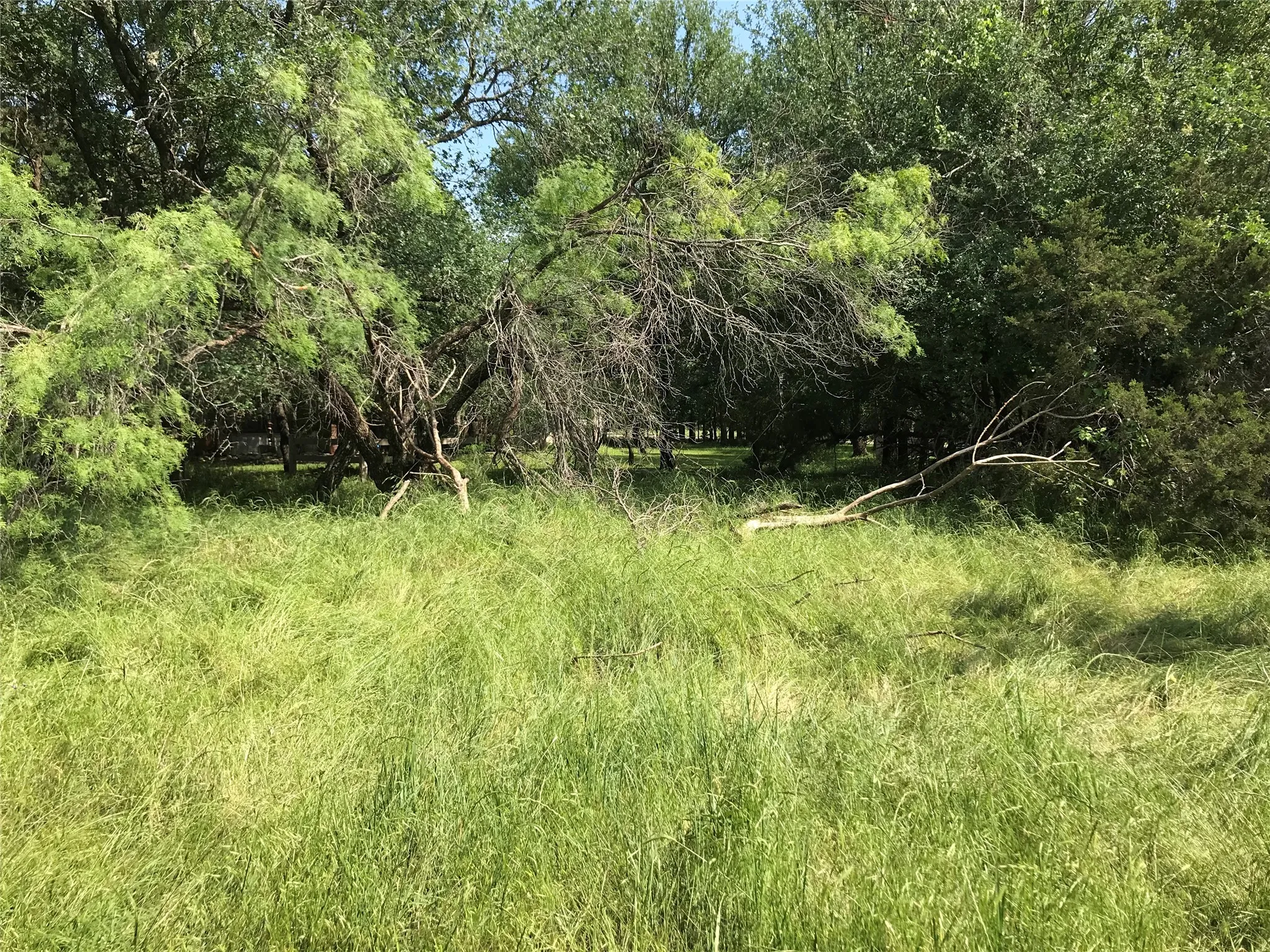 Unimproved Land For Sale in Hill County , 17061 Trailwood Drive, Whitney, Texas 76692, 0, 0, Garage spaces, 0 Sqft, built in 0, mls#21194271, Real Estate Agent in Whitney, Homes For Sale in Hill county, Homes For Sale in Whitney, Realtor in Whitney Texas, Real Estate Brokerage Independent Realty Texas, Luminita Cordes Realtor