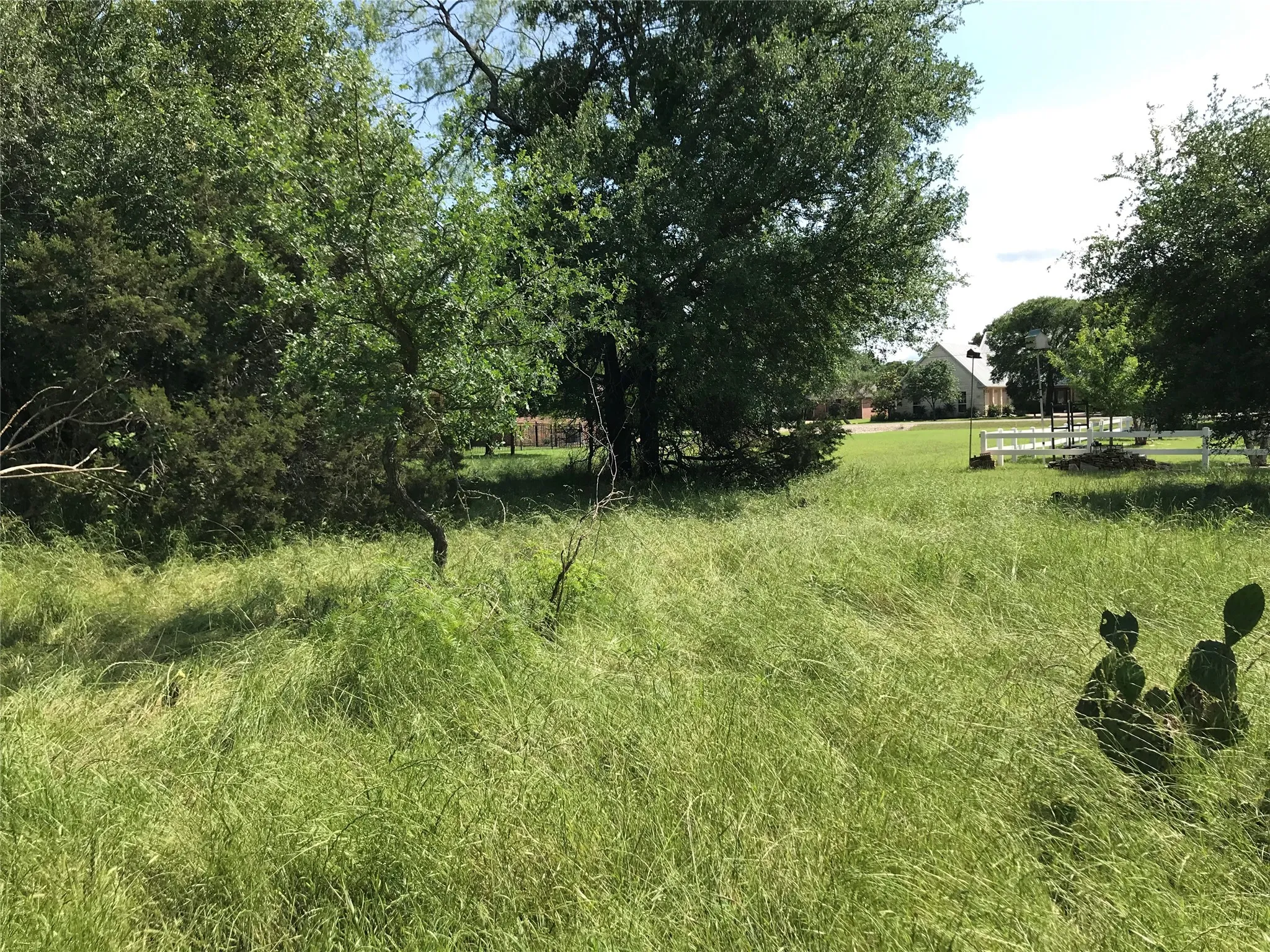 Unimproved Land For Sale in Hill County , 17061 Trailwood Drive, Whitney, Texas 76692, 0, 0, Garage spaces, 0 Sqft, built in 0, mls#21194271, Real Estate Agent in Whitney, Homes For Sale in Hill county, Homes For Sale in Whitney, Realtor in Whitney Texas, Real Estate Brokerage Independent Realty Texas, Luminita Cordes Realtor