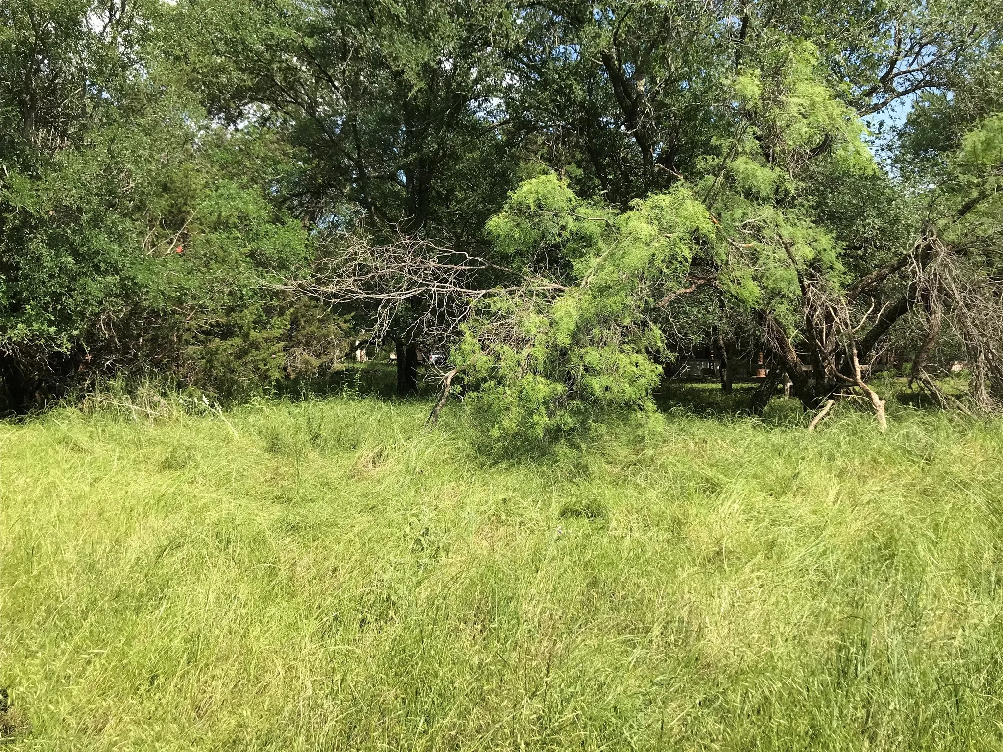 Unimproved Land For Sale in Hill County , 17061 Trailwood Drive, Whitney, Texas 76692, 0, 0, Garage spaces, 0 Sqft, built in 0, mls#21194271, Real Estate Agent in Whitney, Homes For Sale in Hill county, Homes For Sale in Whitney, Realtor in Whitney Texas, Real Estate Brokerage Independent Realty Texas, Luminita Cordes Realtor