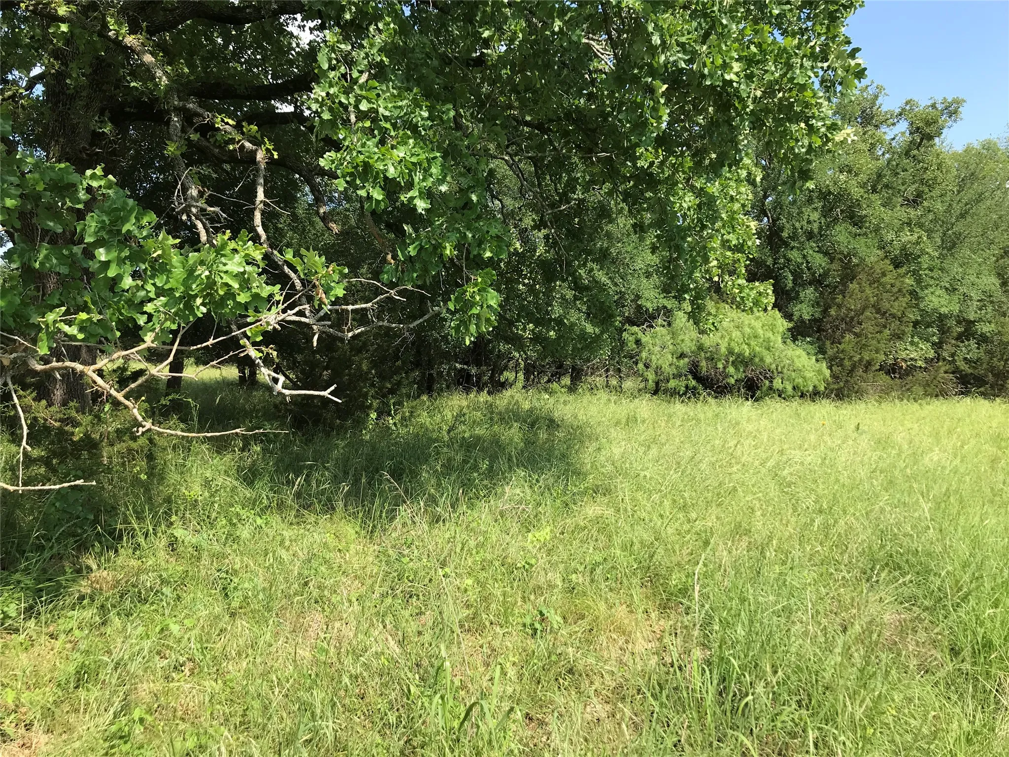 Unimproved Land For Sale in Hill County , 17061 Trailwood Drive, Whitney, Texas 76692, 0, 0, Garage spaces, 0 Sqft, built in 0, mls#21194271, Real Estate Agent in Whitney, Homes For Sale in Hill county, Homes For Sale in Whitney, Realtor in Whitney Texas, Real Estate Brokerage Independent Realty Texas, Luminita Cordes Realtor