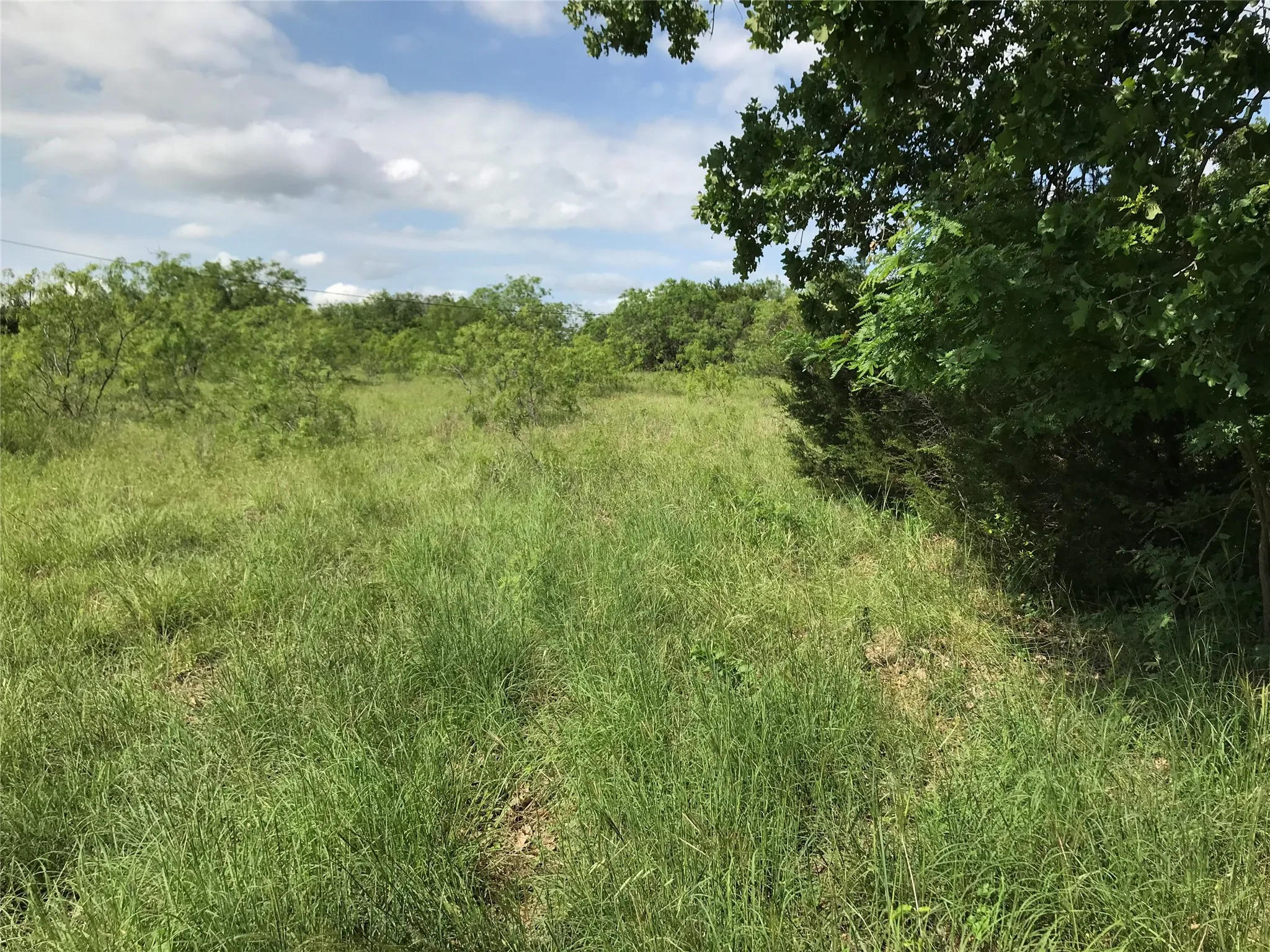Unimproved Land For Sale in Hill County , 17061 Trailwood Drive, Whitney, Texas 76692, 0, 0, Garage spaces, 0 Sqft, built in 0, mls#21194271, Real Estate Agent in Whitney, Homes For Sale in Hill county, Homes For Sale in Whitney, Realtor in Whitney Texas, Real Estate Brokerage Independent Realty Texas, Luminita Cordes Realtor