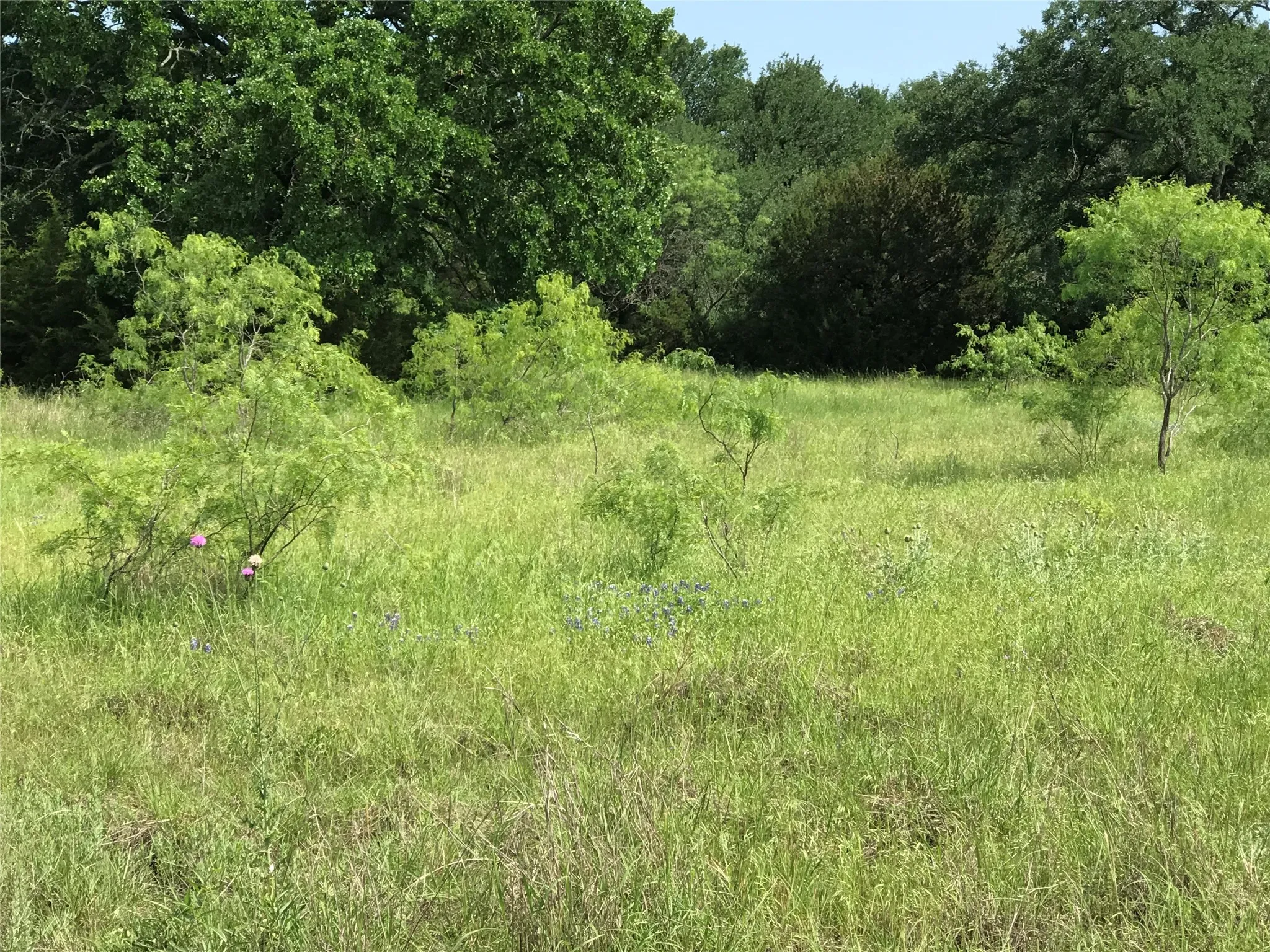 Unimproved Land For Sale in Hill County , 17061 Trailwood Drive, Whitney, Texas 76692, 0, 0, Garage spaces, 0 Sqft, built in 0, mls#21194271, Real Estate Agent in Whitney, Homes For Sale in Hill county, Homes For Sale in Whitney, Realtor in Whitney Texas, Real Estate Brokerage Independent Realty Texas, Luminita Cordes Realtor