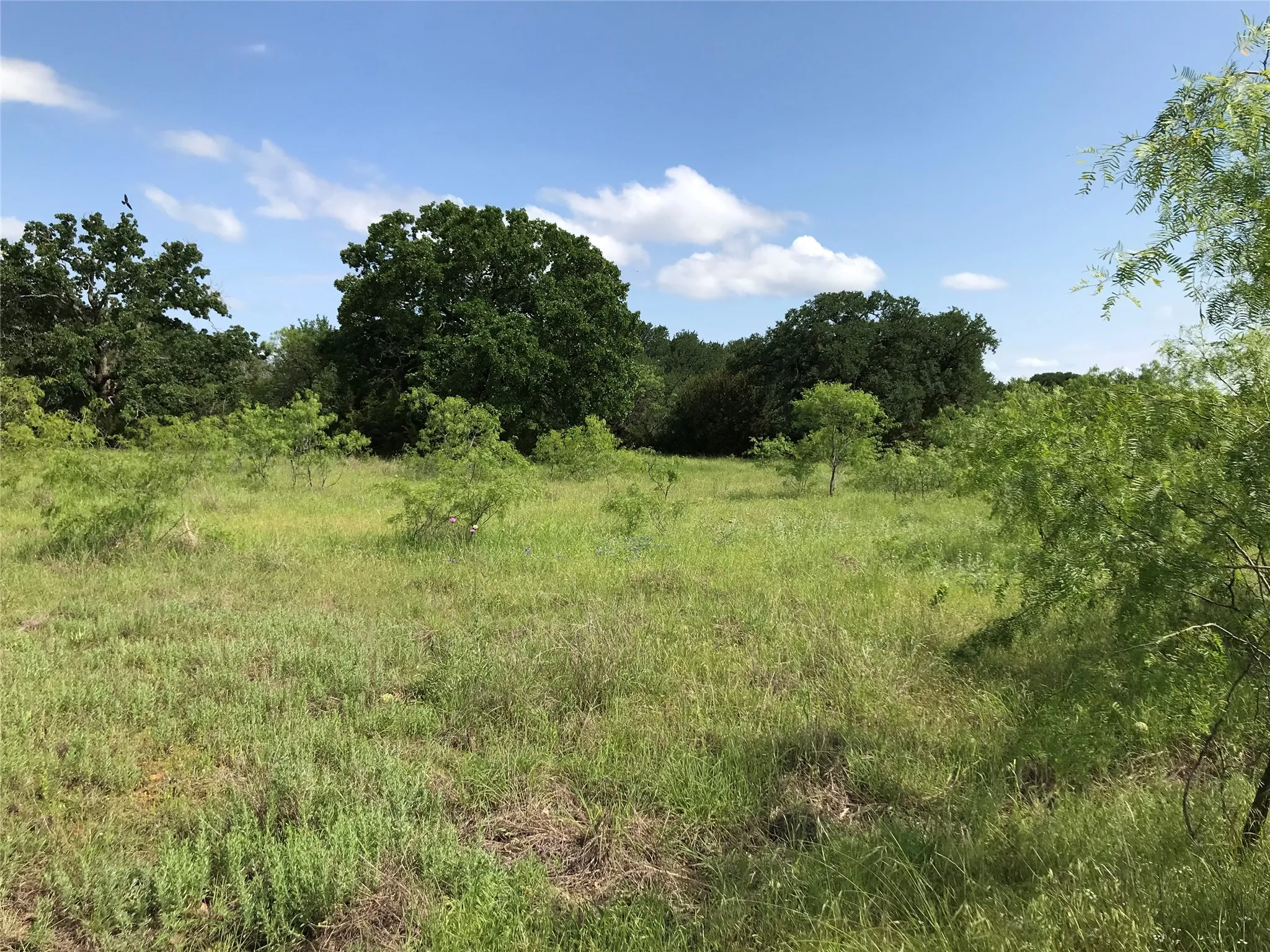Unimproved Land For Sale in Hill County , 17061 Trailwood Drive, Whitney, Texas 76692, 0, 0, Garage spaces, 0 Sqft, built in 0, mls#21194271, Real Estate Agent in Whitney, Homes For Sale in Hill county, Homes For Sale in Whitney, Realtor in Whitney Texas, Real Estate Brokerage Independent Realty Texas, Luminita Cordes Realtor