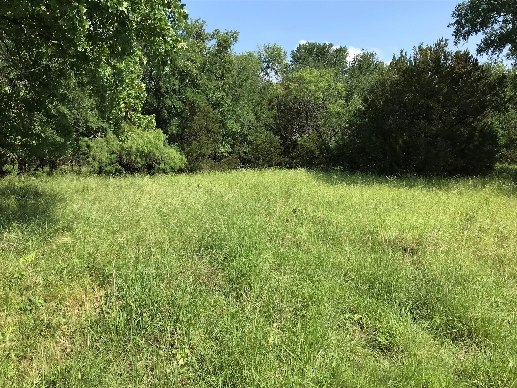 Unimproved Land For Sale in Hill County , 17061 Trailwood Drive, Whitney, Texas 76692, 0, 0, Garage spaces, 0 Sqft, built in 0, mls#21194271, Real Estate Agent in Whitney, Homes For Sale in Hill county, Homes For Sale in Whitney, Realtor in Whitney Texas, Real Estate Brokerage Independent Realty Texas, Luminita Cordes Realtor
