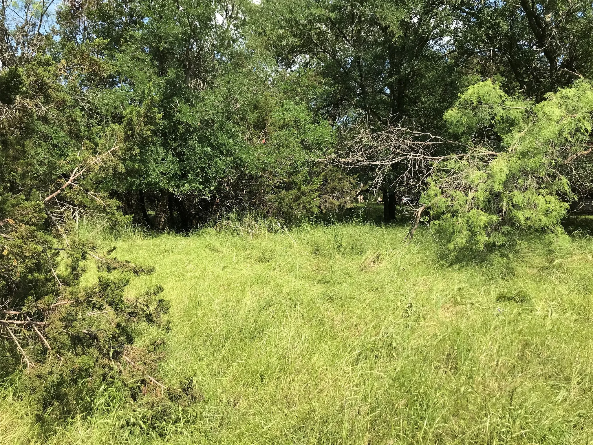 Unimproved Land For Sale in Hill County , 17061 Trailwood Drive, Whitney, Texas 76692, 0, 0, Garage spaces, 0 Sqft, built in 0, mls#21194271, Real Estate Agent in Whitney, Homes For Sale in Hill county, Homes For Sale in Whitney, Realtor in Whitney Texas, Real Estate Brokerage Independent Realty Texas, Luminita Cordes Realtor