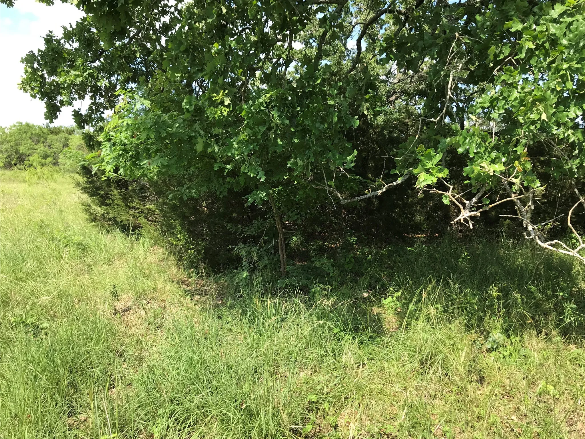 Unimproved Land For Sale in Hill County , 17061 Trailwood Drive, Whitney, Texas 76692, 0, 0, Garage spaces, 0 Sqft, built in 0, mls#21194271, Real Estate Agent in Whitney, Homes For Sale in Hill county, Homes For Sale in Whitney, Realtor in Whitney Texas, Real Estate Brokerage Independent Realty Texas, Luminita Cordes Realtor