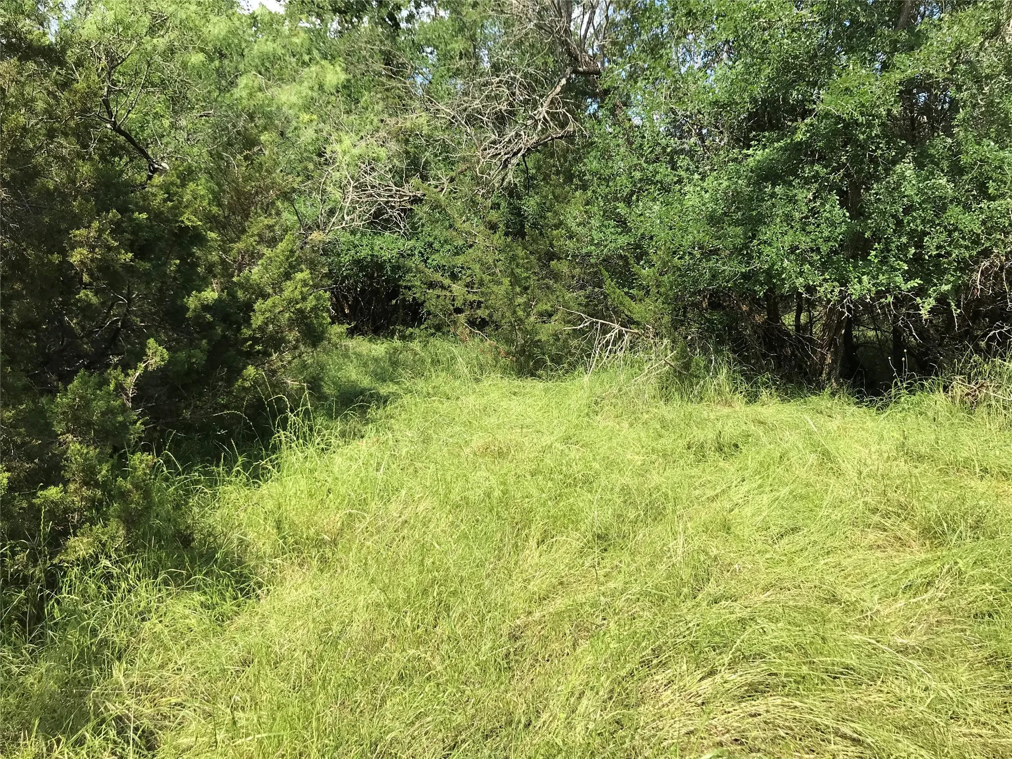 Unimproved Land For Sale in Hill County , 17061 Trailwood Drive, Whitney, Texas 76692, 0, 0, Garage spaces, 0 Sqft, built in 0, mls#21194271, Real Estate Agent in Whitney, Homes For Sale in Hill county, Homes For Sale in Whitney, Realtor in Whitney Texas, Real Estate Brokerage Independent Realty Texas, Luminita Cordes Realtor