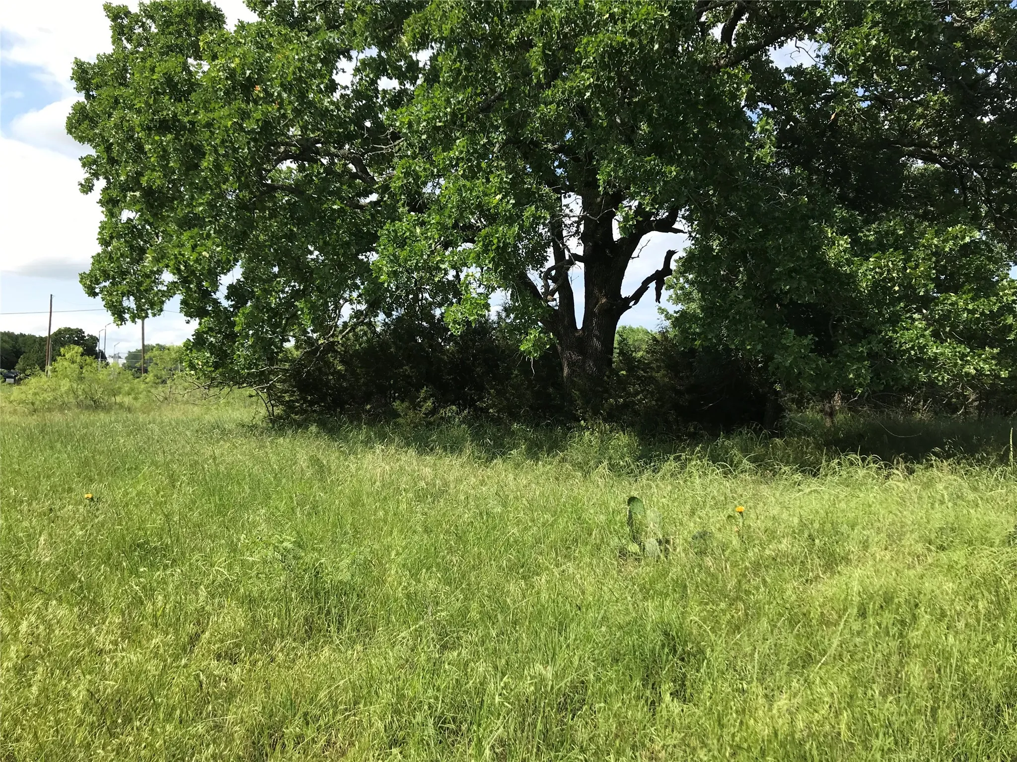 Unimproved Land For Sale in Hill County , 17061 Trailwood Drive, Whitney, Texas 76692, 0, 0, Garage spaces, 0 Sqft, built in 0, mls#21194271, Real Estate Agent in Whitney, Homes For Sale in Hill county, Homes For Sale in Whitney, Realtor in Whitney Texas, Real Estate Brokerage Independent Realty Texas, Luminita Cordes Realtor