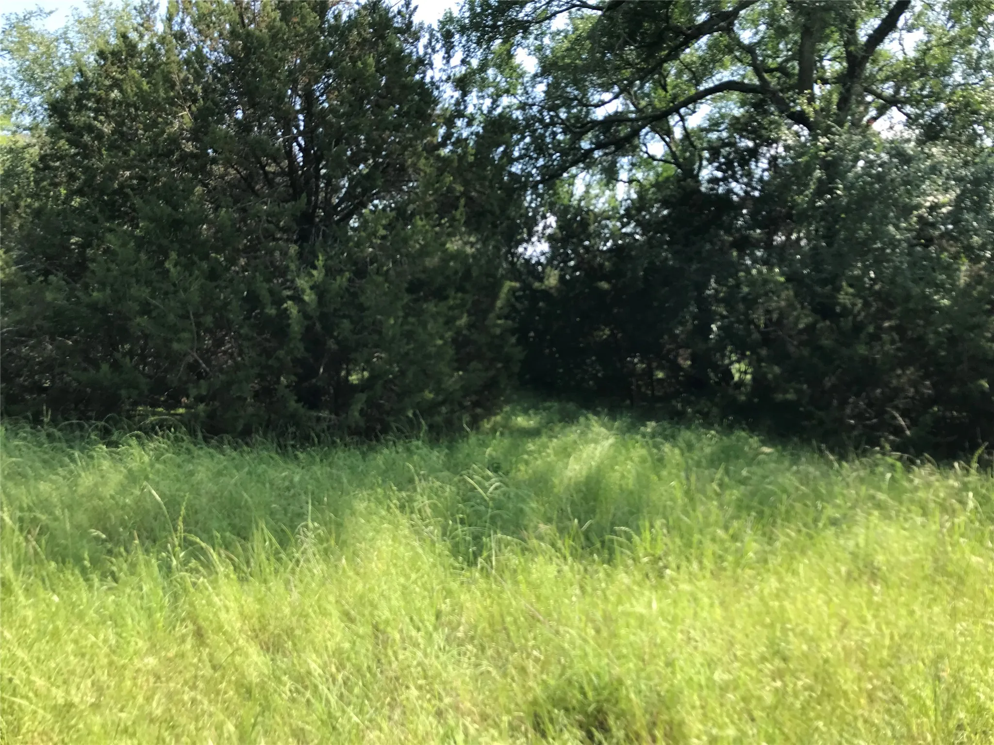 Unimproved Land For Sale in Hill County , 17061 Trailwood Drive, Whitney, Texas 76692, 0, 0, Garage spaces, 0 Sqft, built in 0, mls#21194271, Real Estate Agent in Whitney, Homes For Sale in Hill county, Homes For Sale in Whitney, Realtor in Whitney Texas, Real Estate Brokerage Independent Realty Texas, Luminita Cordes Realtor
