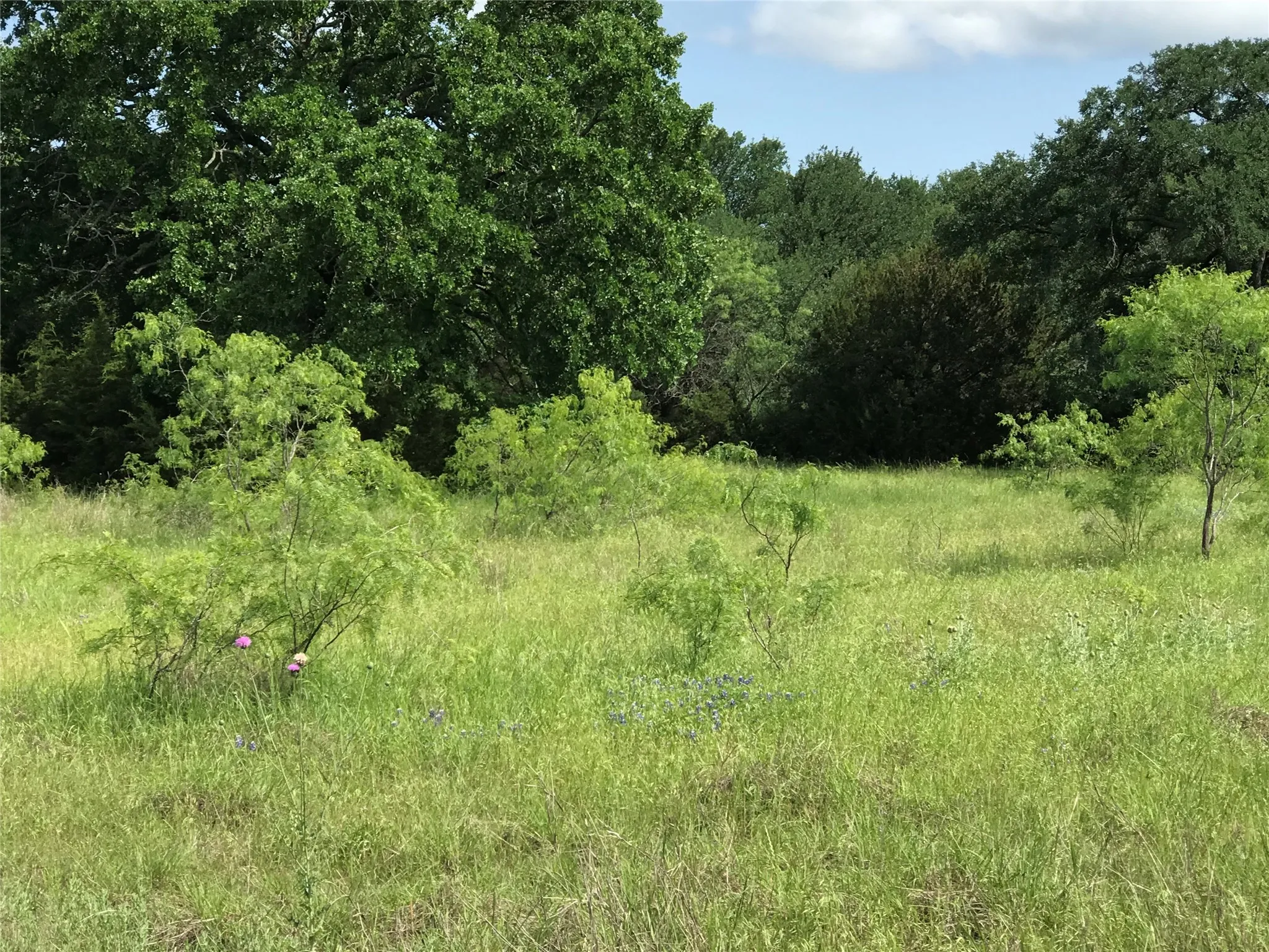 Unimproved Land For Sale in Hill County , 17061 Trailwood Drive, Whitney, Texas 76692, 0, 0, Garage spaces, 0 Sqft, built in 0, mls#21194271, Real Estate Agent in Whitney, Homes For Sale in Hill county, Homes For Sale in Whitney, Realtor in Whitney Texas, Real Estate Brokerage Independent Realty Texas, Luminita Cordes Realtor