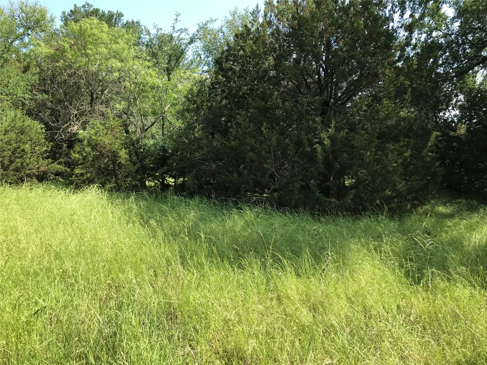 Unimproved Land For Sale in Hill County , 17061 Trailwood Drive, Whitney, Texas 76692, 0, 0, Garage spaces, 0 Sqft, built in 0, mls#21194271, Real Estate Agent in Whitney, Homes For Sale in Hill county, Homes For Sale in Whitney, Realtor in Whitney Texas, Real Estate Brokerage Independent Realty Texas, Luminita Cordes Realtor