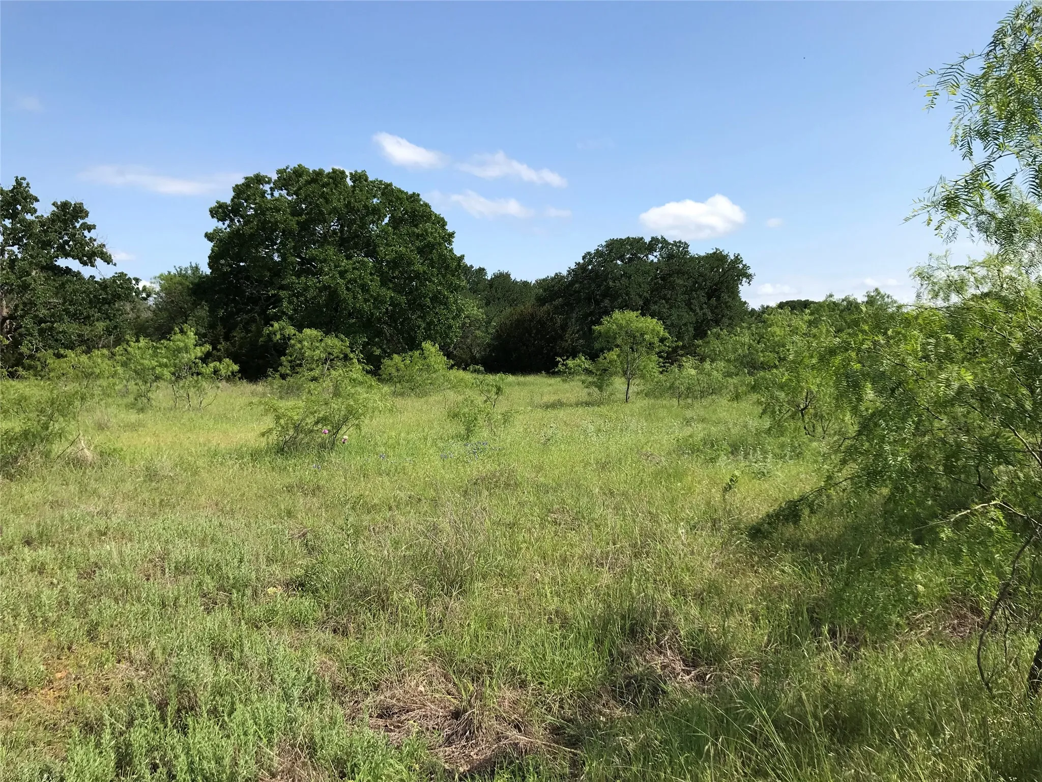 Unimproved Land For Sale in Hill County , 17061 Trailwood Drive, Whitney, Texas 76692, 0, 0, Garage spaces, 0 Sqft, built in 0, mls#21194271, Real Estate Agent in Whitney, Homes For Sale in Hill county, Homes For Sale in Whitney, Realtor in Whitney Texas, Real Estate Brokerage Independent Realty Texas, Luminita Cordes Realtor