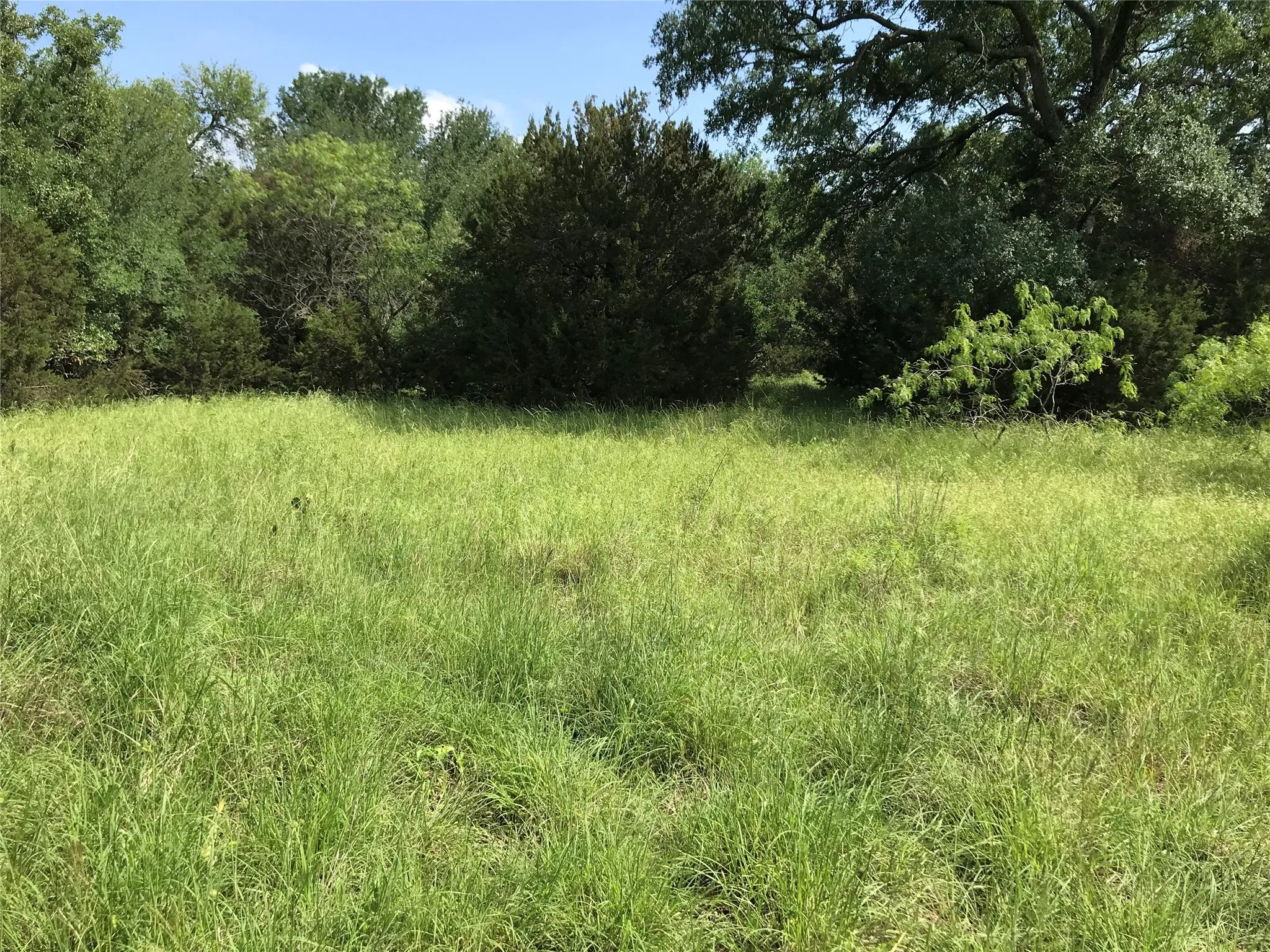 Unimproved Land For Sale in Hill County , 17061 Trailwood Drive, Whitney, Texas 76692, 0, 0, Garage spaces, 0 Sqft, built in 0, mls#21194271, Real Estate Agent in Whitney, Homes For Sale in Hill county, Homes For Sale in Whitney, Realtor in Whitney Texas, Real Estate Brokerage Independent Realty Texas, Luminita Cordes Realtor