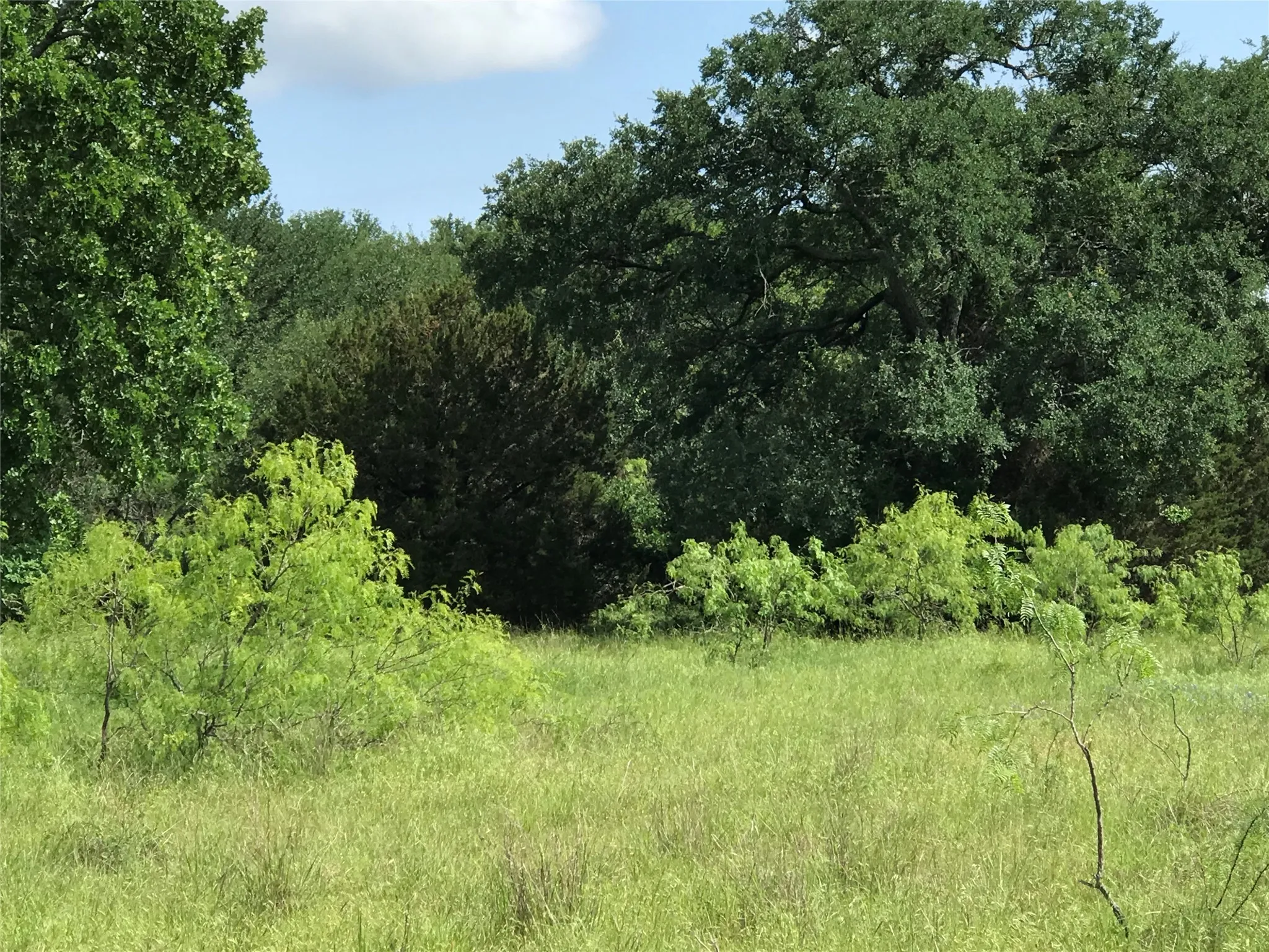 Unimproved Land For Sale in Hill County , 17061 Trailwood Drive, Whitney, Texas 76692, 0, 0, Garage spaces, 0 Sqft, built in 0, mls#21194271, Real Estate Agent in Whitney, Homes For Sale in Hill county, Homes For Sale in Whitney, Realtor in Whitney Texas, Real Estate Brokerage Independent Realty Texas, Luminita Cordes Realtor