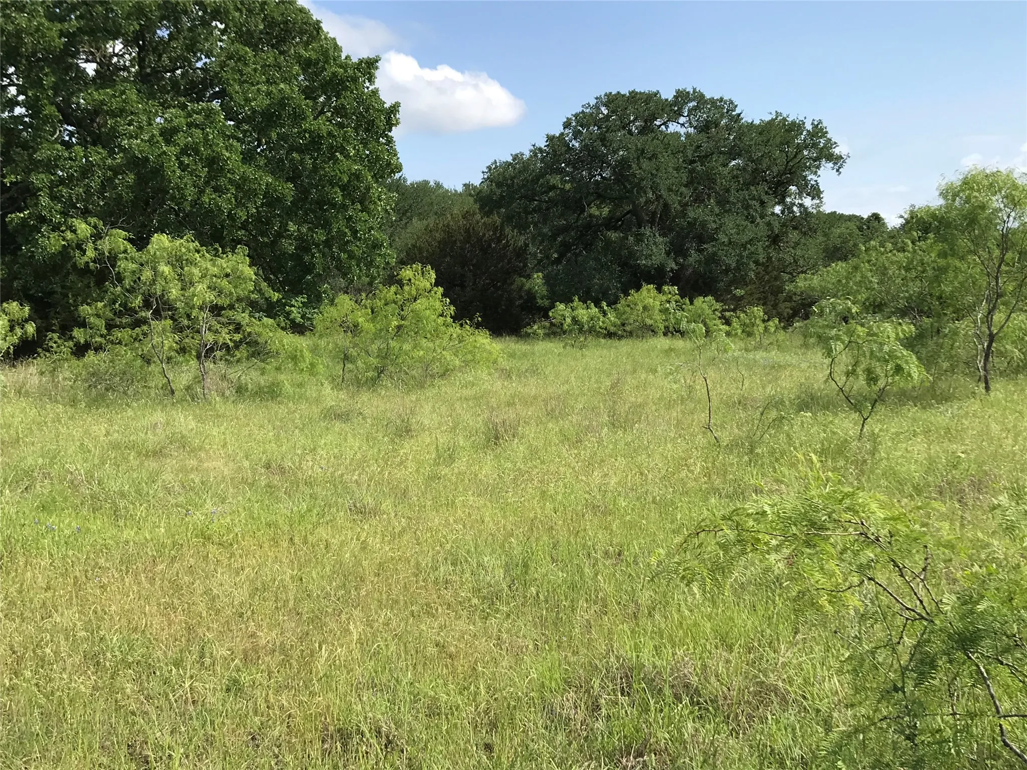 Unimproved Land For Sale in Hill County , 17061 Trailwood Drive, Whitney, Texas 76692, 0, 0, Garage spaces, 0 Sqft, built in 0, mls#21194271, Real Estate Agent in Whitney, Homes For Sale in Hill county, Homes For Sale in Whitney, Realtor in Whitney Texas, Real Estate Brokerage Independent Realty Texas, Luminita Cordes Realtor