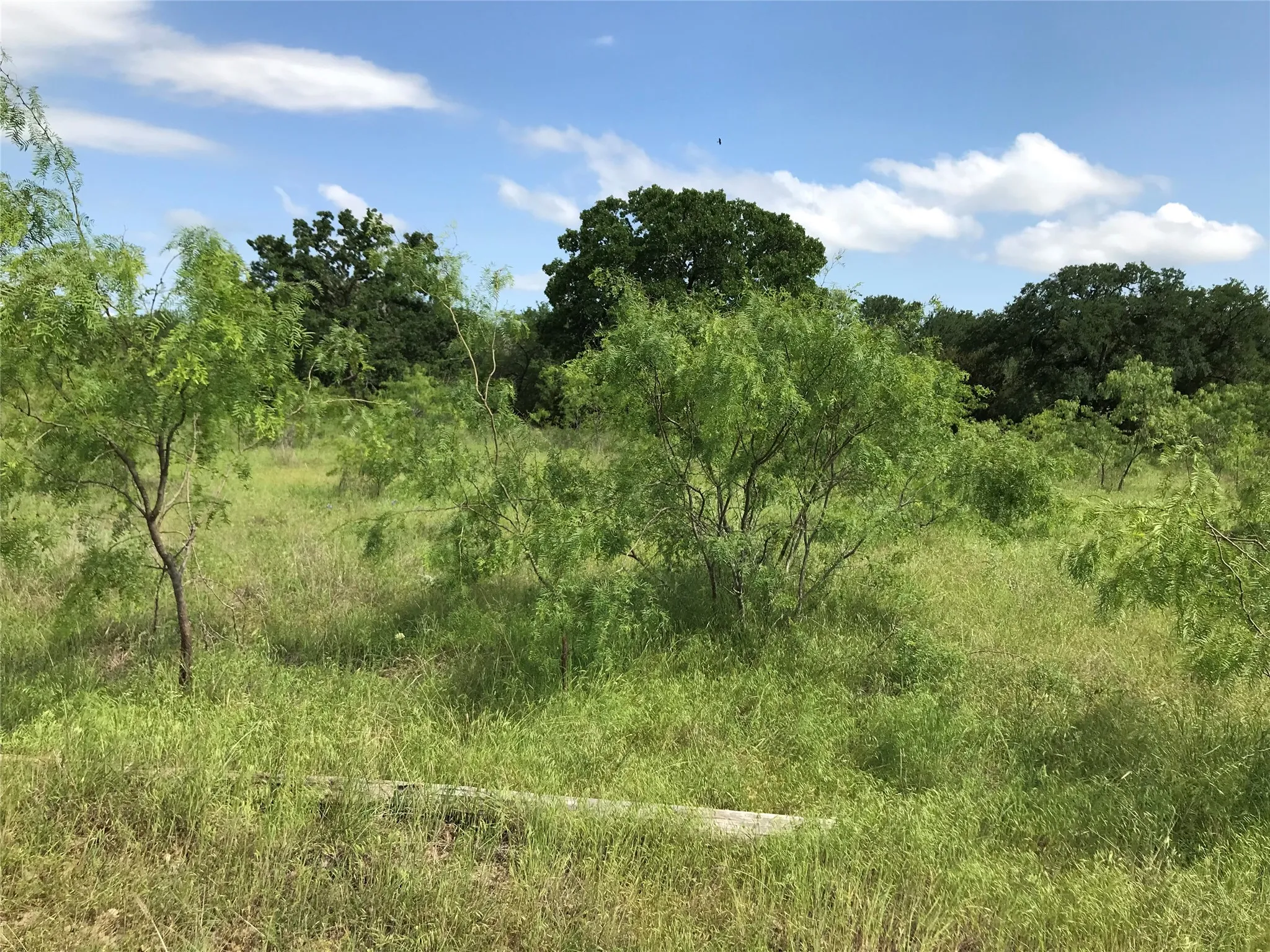 Unimproved Land For Sale in Hill County , 17061 Trailwood Drive, Whitney, Texas 76692, 0, 0, Garage spaces, 0 Sqft, built in 0, mls#21194271, Real Estate Agent in Whitney, Homes For Sale in Hill county, Homes For Sale in Whitney, Realtor in Whitney Texas, Real Estate Brokerage Independent Realty Texas, Luminita Cordes Realtor