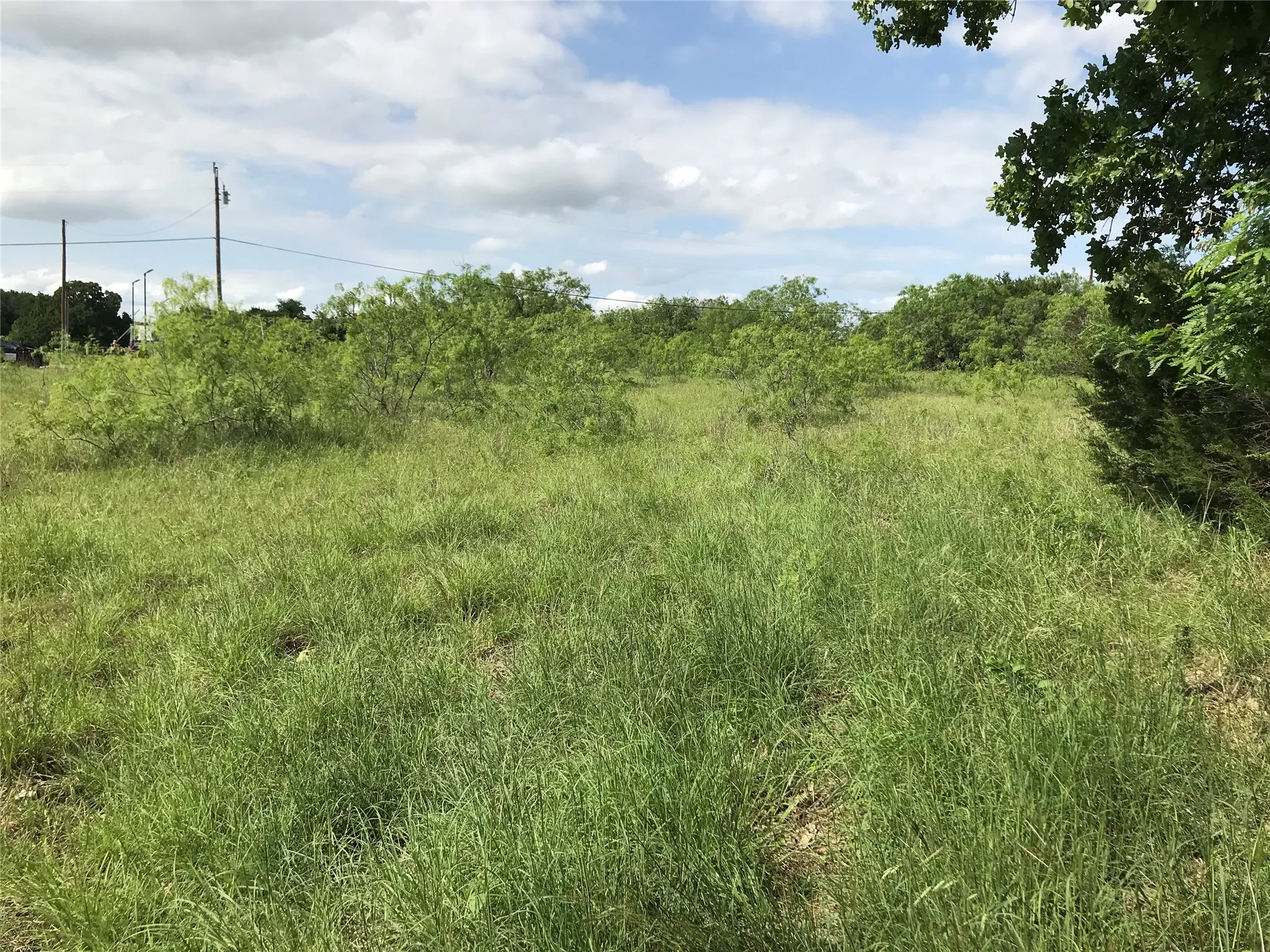 Unimproved Land For Sale in Hill County , 17061 Trailwood Drive, Whitney, Texas 76692, 0, 0, Garage spaces, 0 Sqft, built in 0, mls#21194271, Real Estate Agent in Whitney, Homes For Sale in Hill county, Homes For Sale in Whitney, Realtor in Whitney Texas, Real Estate Brokerage Independent Realty Texas, Luminita Cordes Realtor