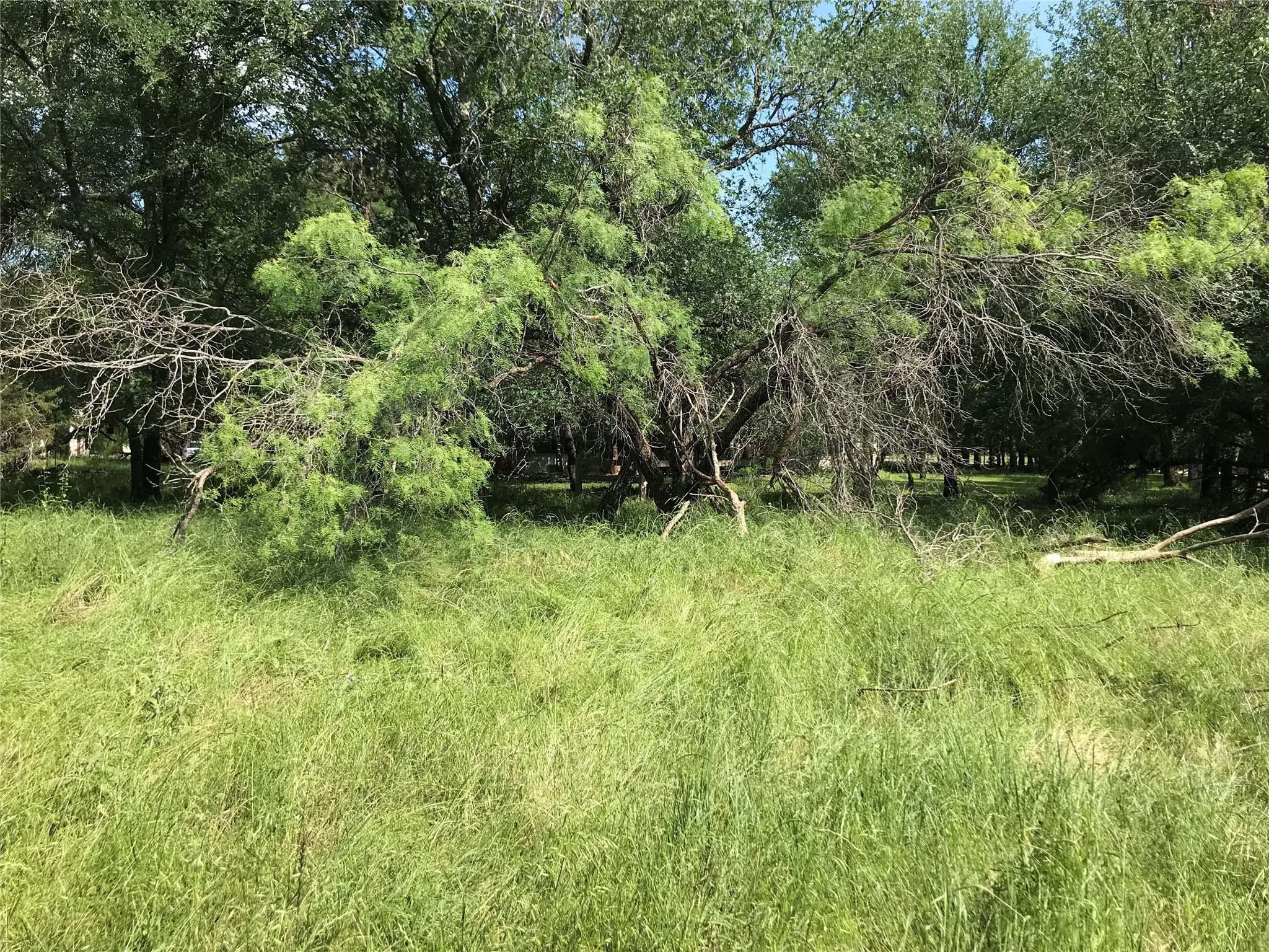 Unimproved Land For Sale in Hill County , 17061 Trailwood Drive, Whitney, Texas 76692, 0, 0, Garage spaces, 0 Sqft, built in 0, mls#21194271, Real Estate Agent in Whitney, Homes For Sale in Hill county, Homes For Sale in Whitney, Realtor in Whitney Texas, Real Estate Brokerage Independent Realty Texas, Luminita Cordes Realtor