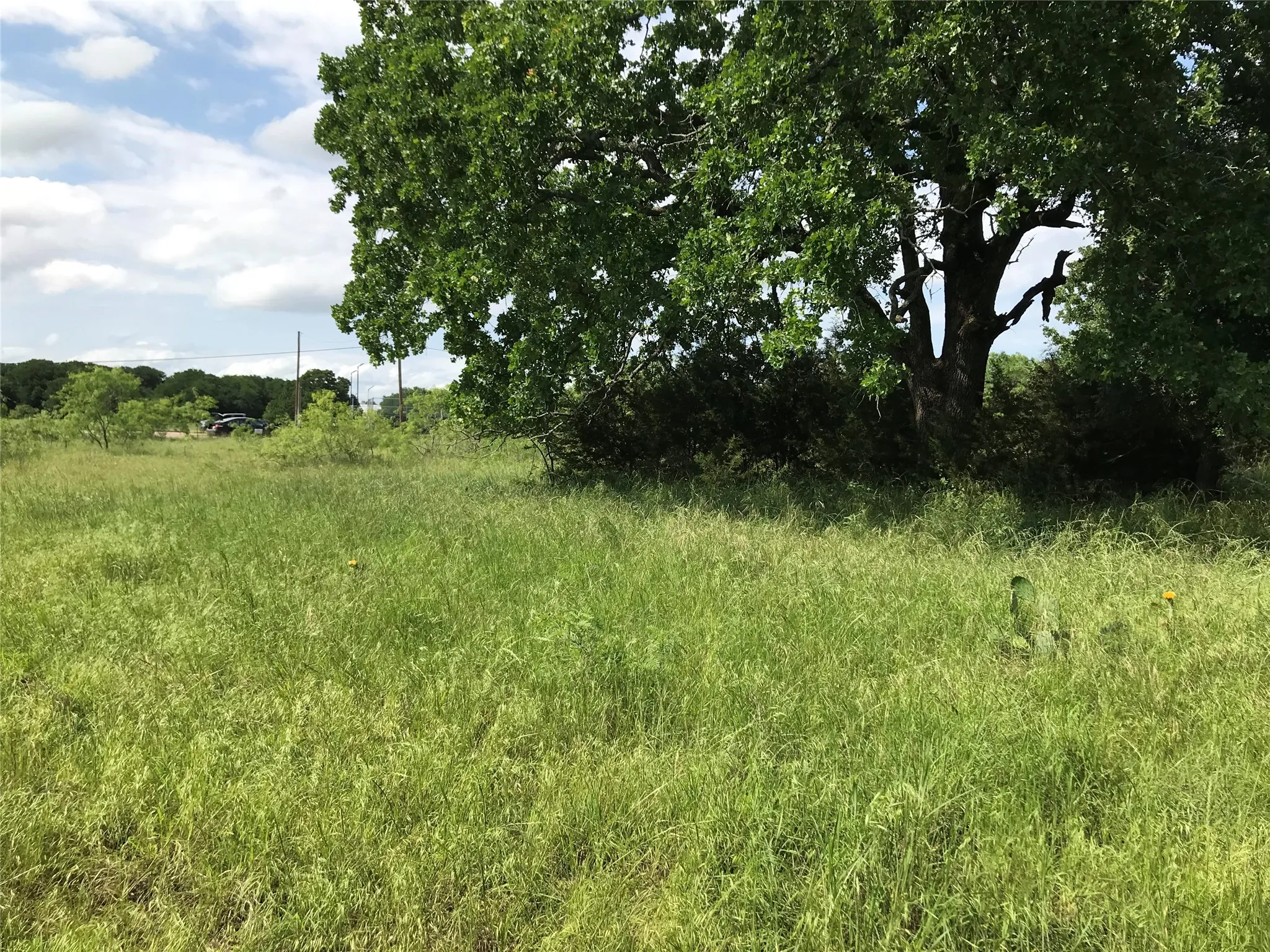 Unimproved Land For Sale in Hill County , 17061 Trailwood Drive, Whitney, Texas 76692, 0, 0, Garage spaces, 0 Sqft, built in 0, mls#21194271, Real Estate Agent in Whitney, Homes For Sale in Hill county, Homes For Sale in Whitney, Realtor in Whitney Texas, Real Estate Brokerage Independent Realty Texas, Luminita Cordes Realtor