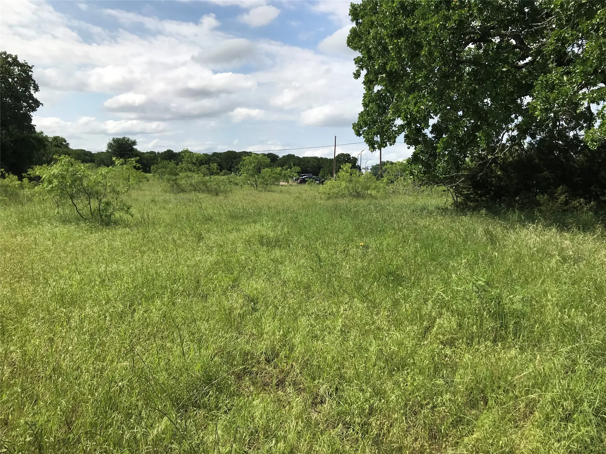 Unimproved Land For Sale in Hill County , 17061 Trailwood Drive, Whitney, Texas 76692, 0, 0, Garage spaces, 0 Sqft, built in 0, mls#21194271, Real Estate Agent in Whitney, Homes For Sale in Hill county, Homes For Sale in Whitney, Realtor in Whitney Texas, Real Estate Brokerage Independent Realty Texas, Luminita Cordes Realtor