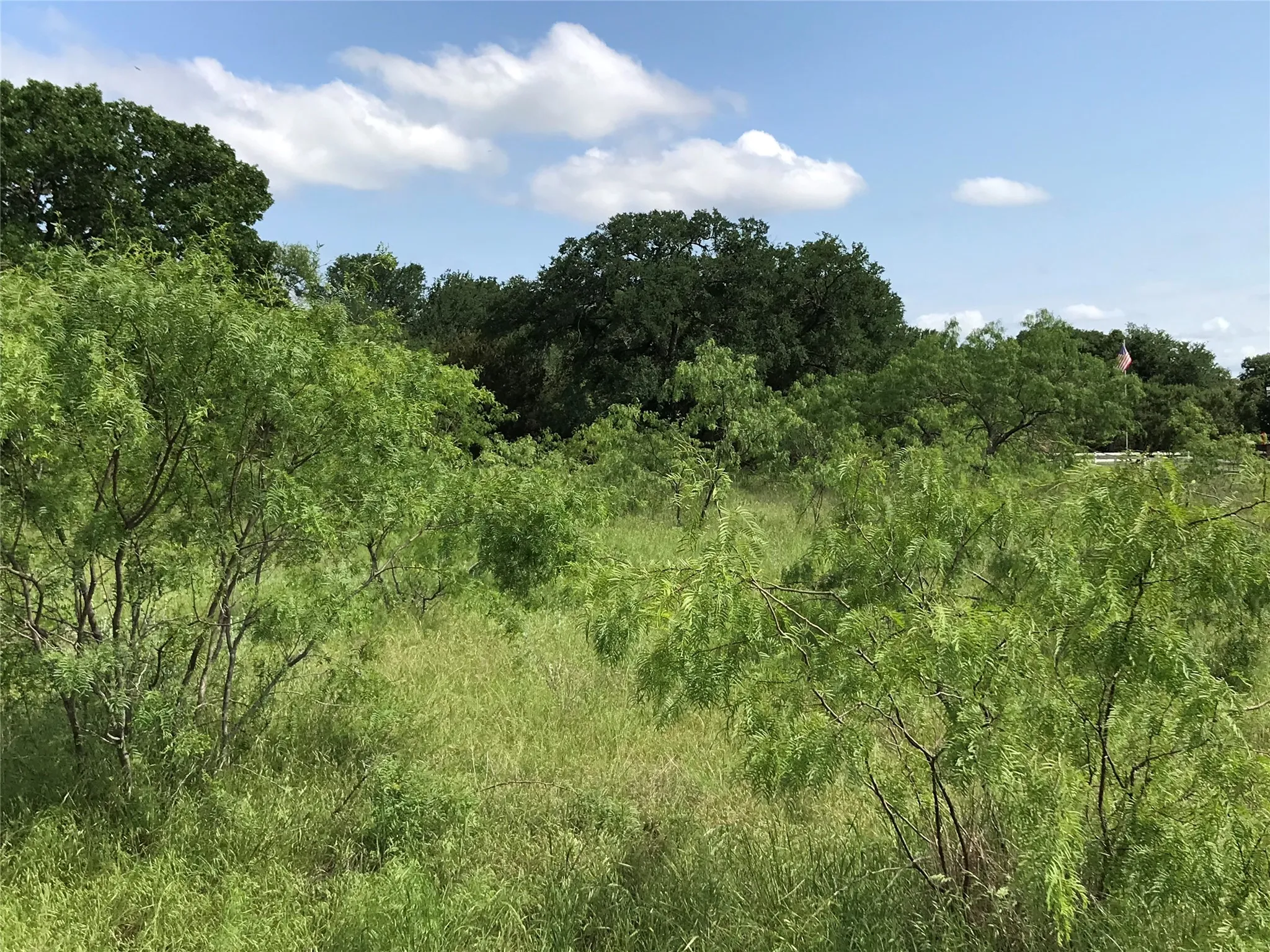 Unimproved Land For Sale in Hill County , 17061 Trailwood Drive, Whitney, Texas 76692, 0, 0, Garage spaces, 0 Sqft, built in 0, mls#21194271, Real Estate Agent in Whitney, Homes For Sale in Hill county, Homes For Sale in Whitney, Realtor in Whitney Texas, Real Estate Brokerage Independent Realty Texas, Luminita Cordes Realtor