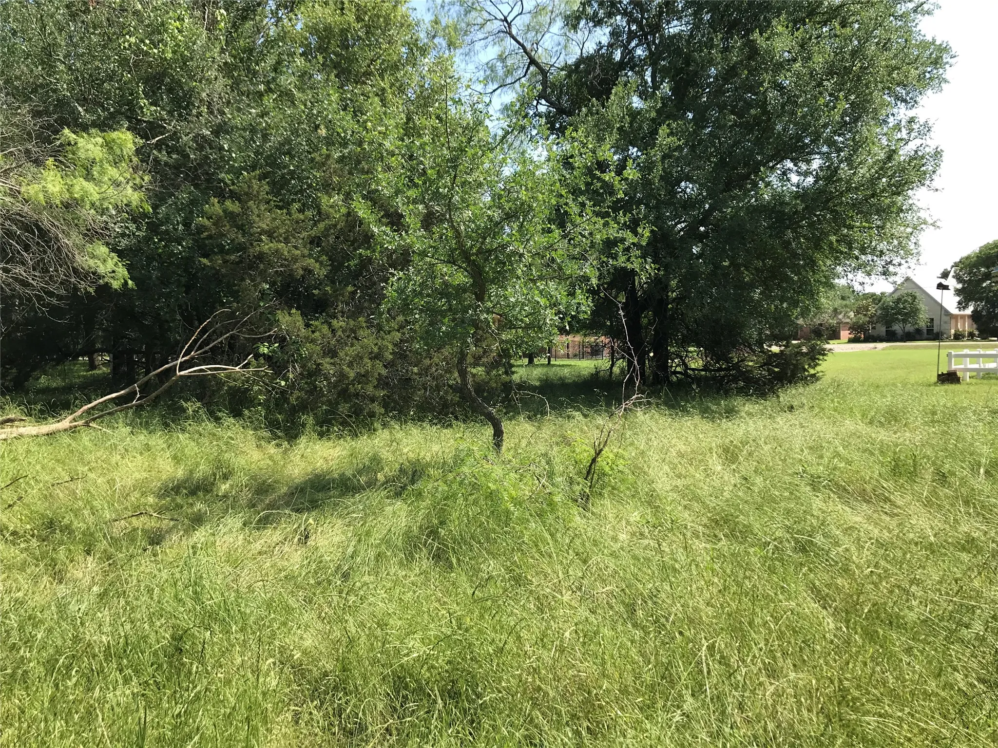 Unimproved Land For Sale in Hill County , 17061 Trailwood Drive, Whitney, Texas 76692, 0, 0, Garage spaces, 0 Sqft, built in 0, mls#21194271, Real Estate Agent in Whitney, Homes For Sale in Hill county, Homes For Sale in Whitney, Realtor in Whitney Texas, Real Estate Brokerage Independent Realty Texas, Luminita Cordes Realtor