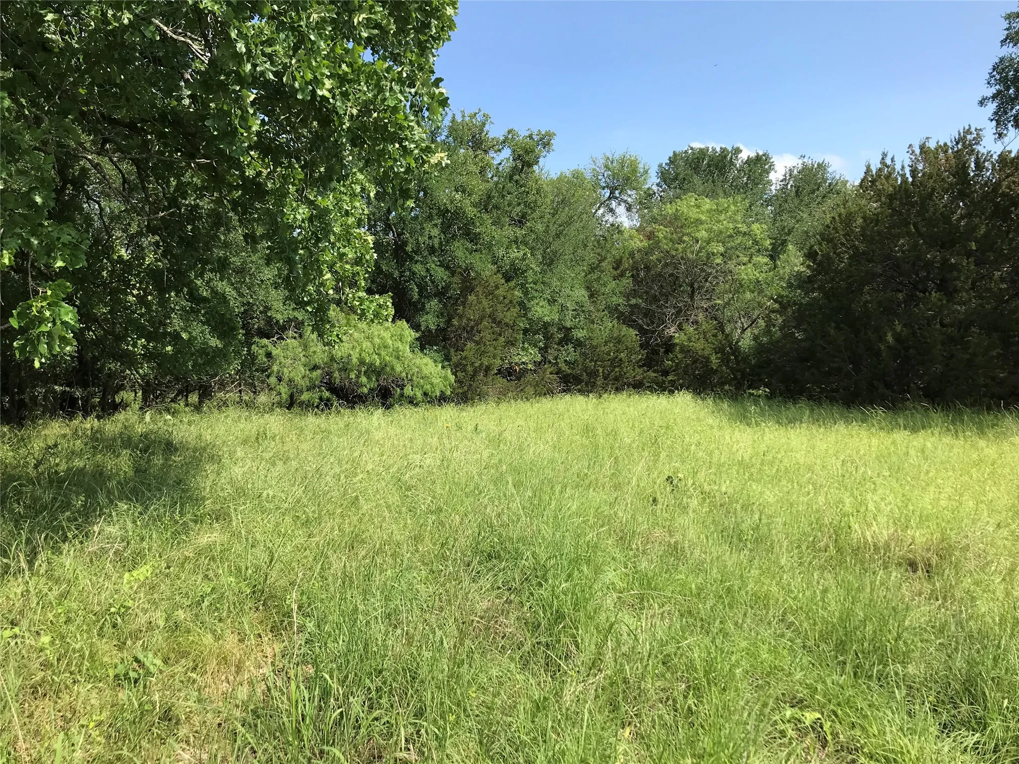Unimproved Land For Sale in Hill County , 17061 Trailwood Drive, Whitney, Texas 76692, 0, 0, Garage spaces, 0 Sqft, built in 0, mls#21194271, Real Estate Agent in Whitney, Homes For Sale in Hill county, Homes For Sale in Whitney, Realtor in Whitney Texas, Real Estate Brokerage Independent Realty Texas, Luminita Cordes Realtor