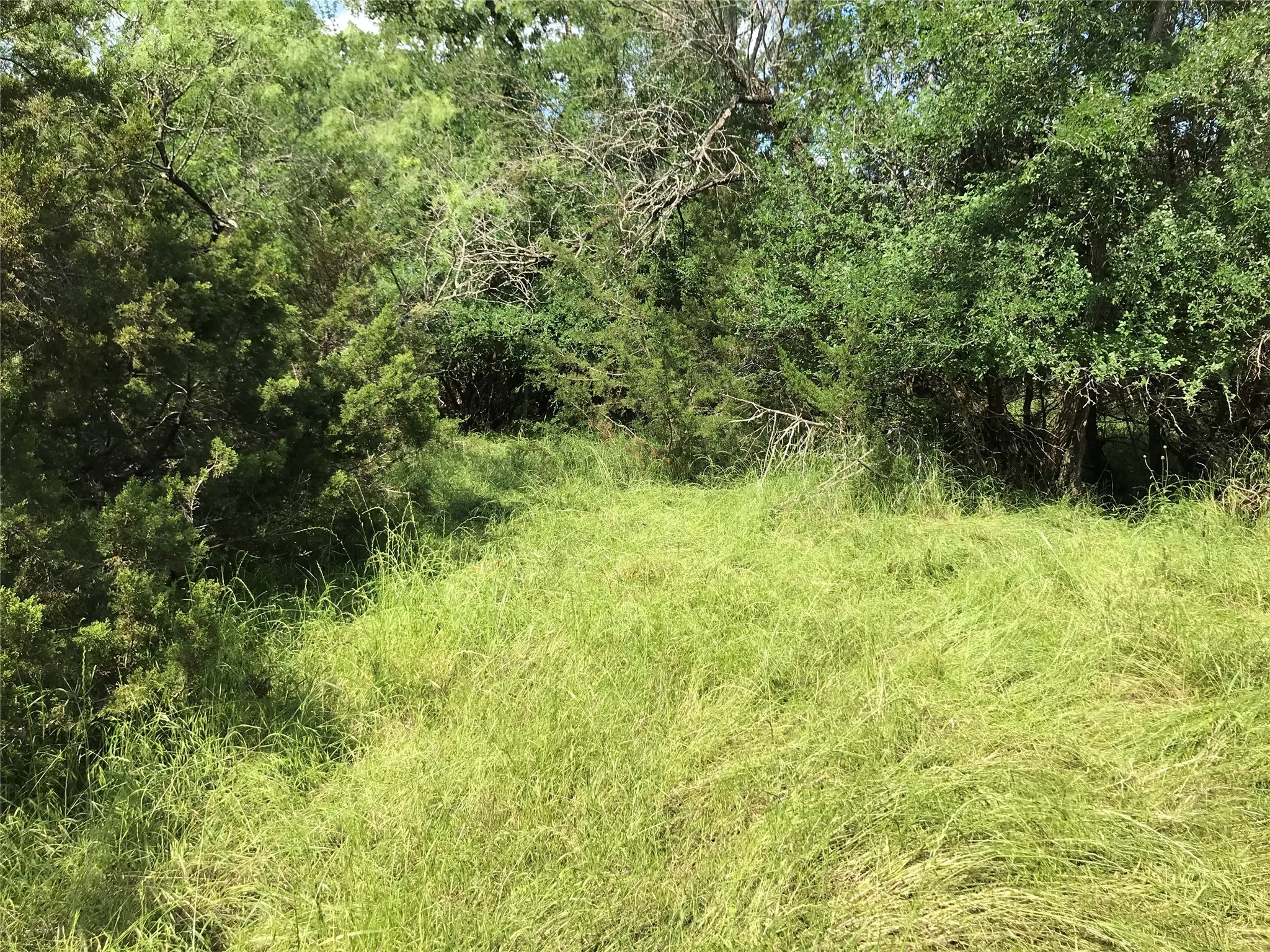 Unimproved Land For Sale in Hill County , 17061 Trailwood Drive, Whitney, Texas 76692, 0, 0, Garage spaces, 0 Sqft, built in 0, mls#21194271, Real Estate Agent in Whitney, Homes For Sale in Hill county, Homes For Sale in Whitney, Realtor in Whitney Texas, Real Estate Brokerage Independent Realty Texas, Luminita Cordes Realtor