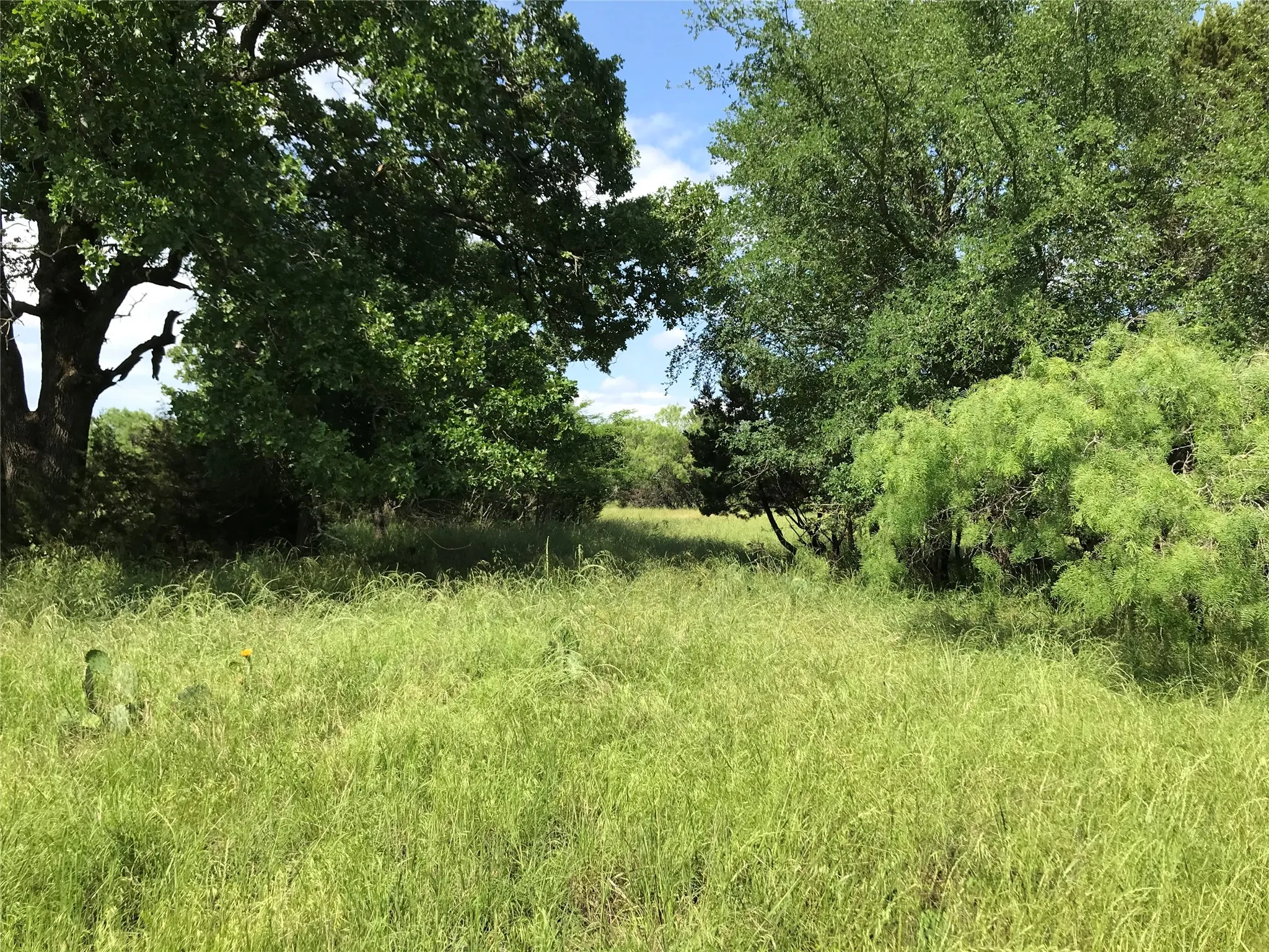 Unimproved Land For Sale in Hill County , 17061 Trailwood Drive, Whitney, Texas 76692, 0, 0, Garage spaces, 0 Sqft, built in 0, mls#21194271, Real Estate Agent in Whitney, Homes For Sale in Hill county, Homes For Sale in Whitney, Realtor in Whitney Texas, Real Estate Brokerage Independent Realty Texas, Luminita Cordes Realtor