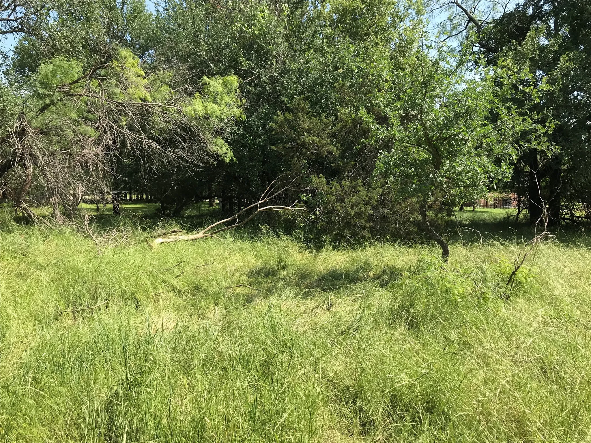 Unimproved Land For Sale in Hill County , 17061 Trailwood Drive, Whitney, Texas 76692, 0, 0, Garage spaces, 0 Sqft, built in 0, mls#21194271, Real Estate Agent in Whitney, Homes For Sale in Hill county, Homes For Sale in Whitney, Realtor in Whitney Texas, Real Estate Brokerage Independent Realty Texas, Luminita Cordes Realtor