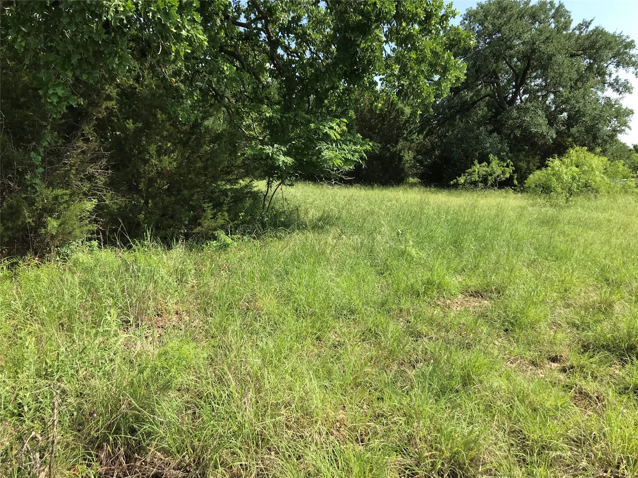 Unimproved Land For Sale in Hill County , 17061 Trailwood Drive, Whitney, Texas 76692, 0, 0, Garage spaces, 0 Sqft, built in 0, mls#21194271, Real Estate Agent in Whitney, Homes For Sale in Hill county, Homes For Sale in Whitney, Realtor in Whitney Texas, Real Estate Brokerage Independent Realty Texas, Luminita Cordes Realtor