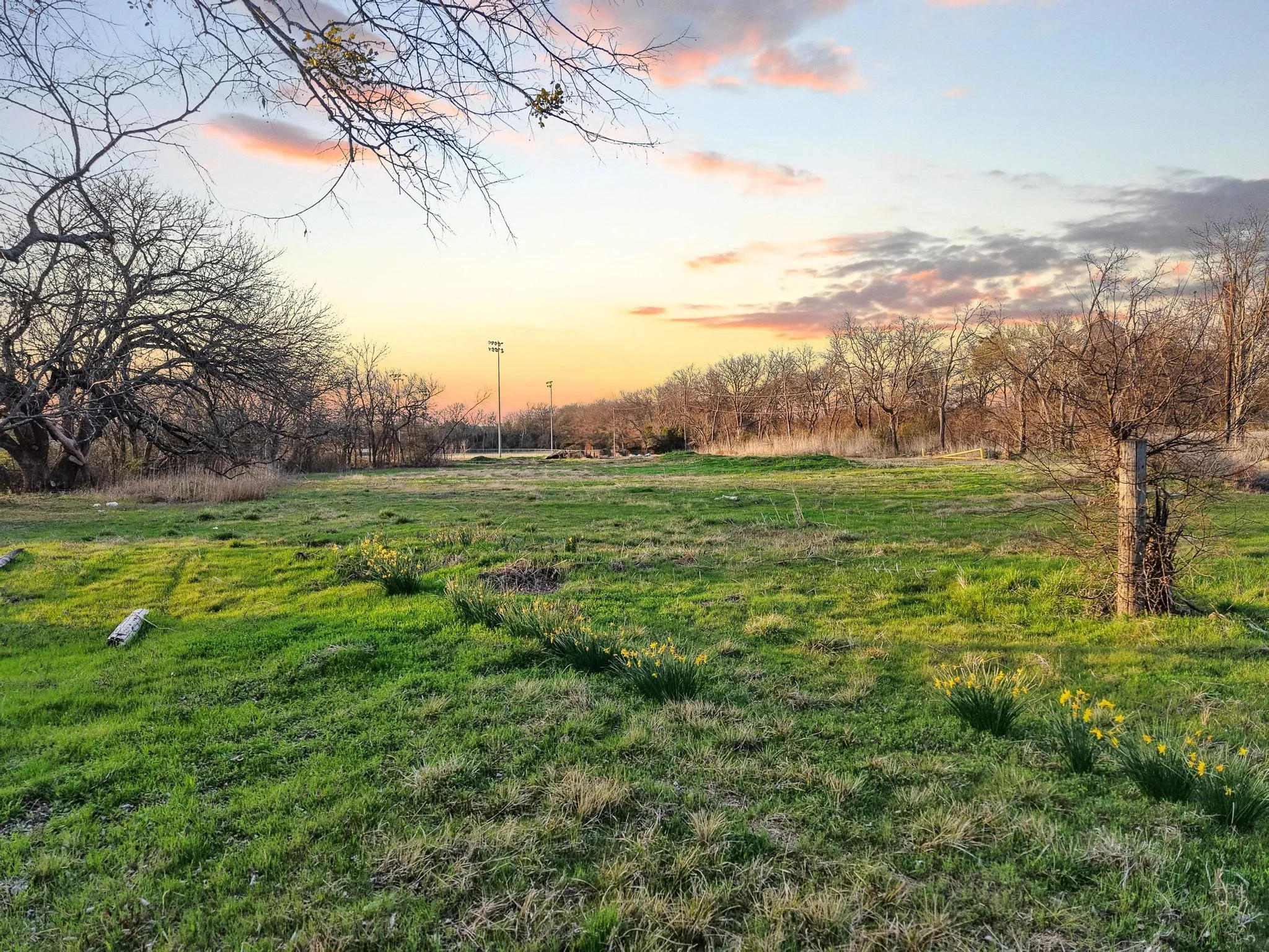 Unimproved Land For Sale in Fannin County , 120 Holmes Street Lot 6, Trenton, Texas 75490, 0, 0, Garage spaces, 0 Sqft, built in 0, mls#21201185, Real Estate Agent in Trenton, Homes For Sale in Fannin county, Homes For Sale in Trenton, Realtor in Trenton Texas, Real Estate Brokerage Independent Realty Texas, Luminita Cordes Realtor