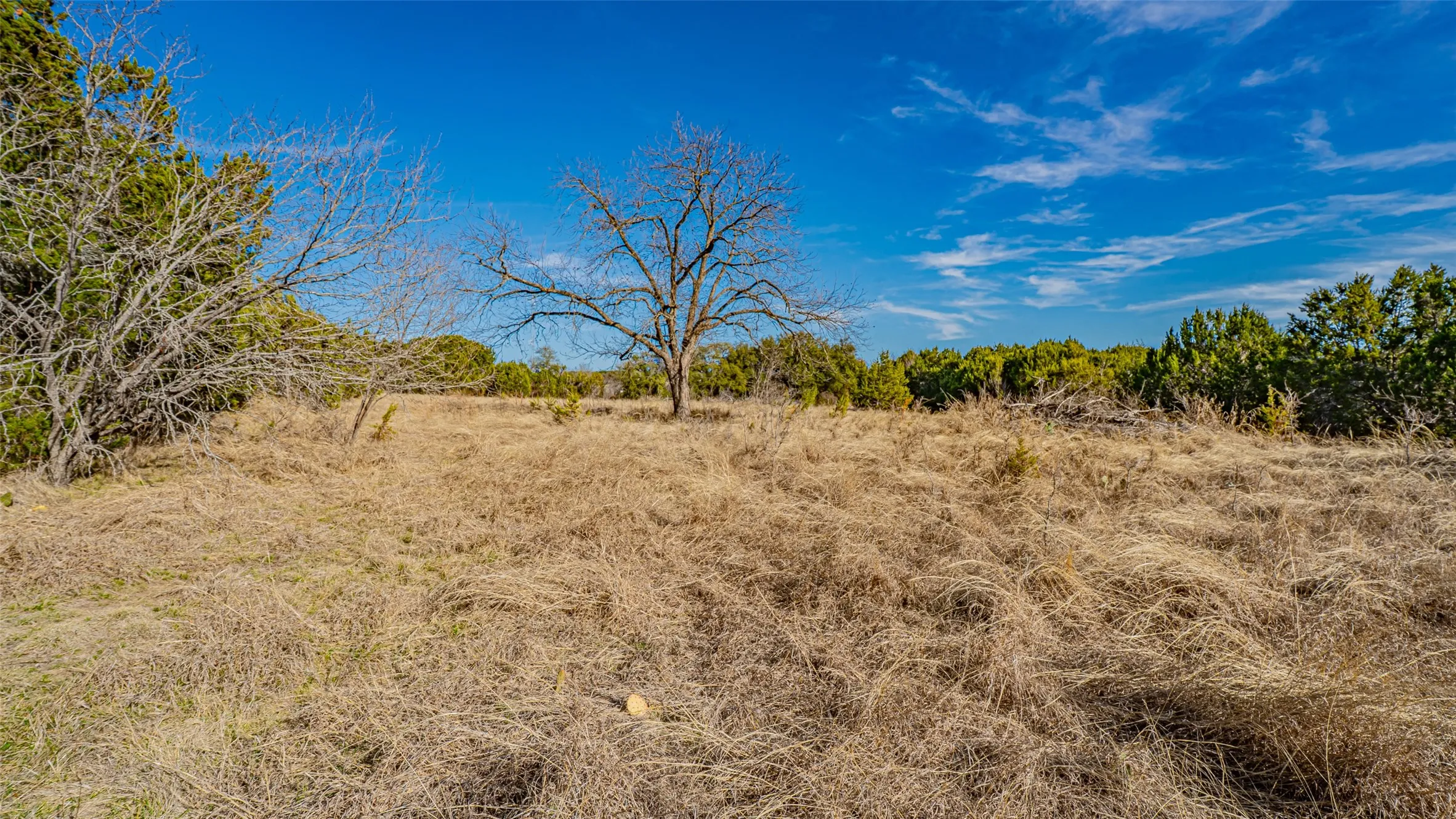 Unimproved Land For Sale in Somervell County , 103 S Fm 56, Glen Rose, Texas 76043, 0, 0, Garage spaces, 0 Sqft, built in 0, mls#21201003, Real Estate Agent in Glen Rose, Homes For Sale in Somervell county, Homes For Sale in Glen Rose, Realtor in Glen Rose Texas, Real Estate Brokerage Independent Realty Texas, Luminita Cordes Realtor