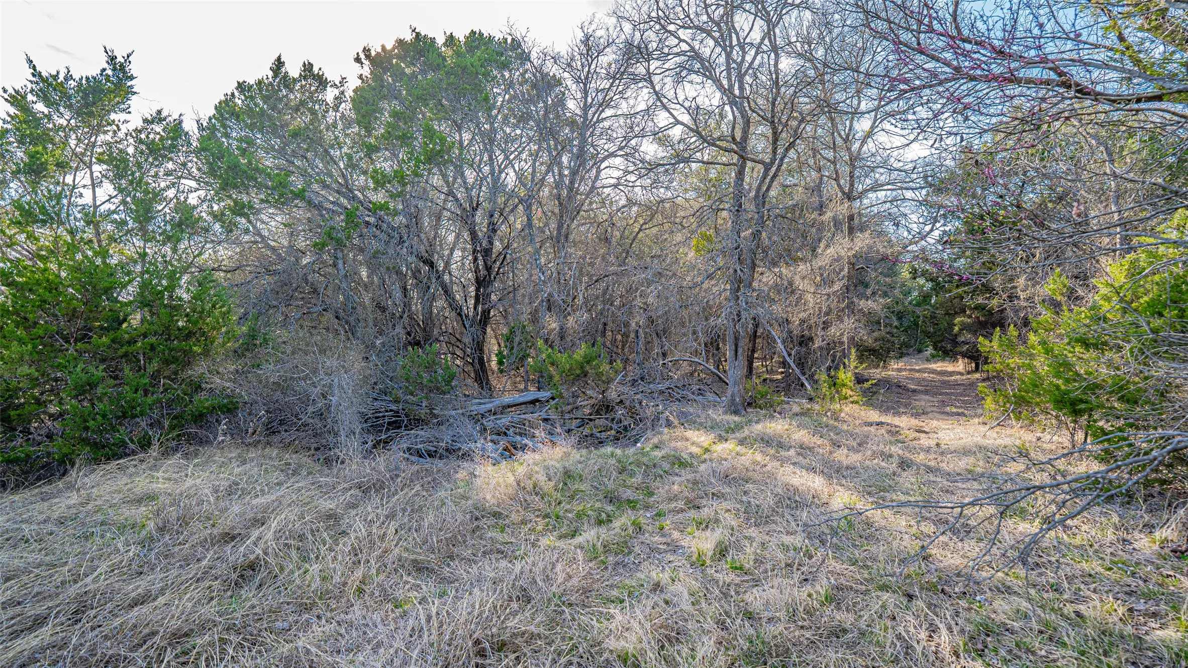Unimproved Land For Sale in Somervell County , 103 S Fm 56, Glen Rose, Texas 76043, 0, 0, Garage spaces, 0 Sqft, built in 0, mls#21201003, Real Estate Agent in Glen Rose, Homes For Sale in Somervell county, Homes For Sale in Glen Rose, Realtor in Glen Rose Texas, Real Estate Brokerage Independent Realty Texas, Luminita Cordes Realtor